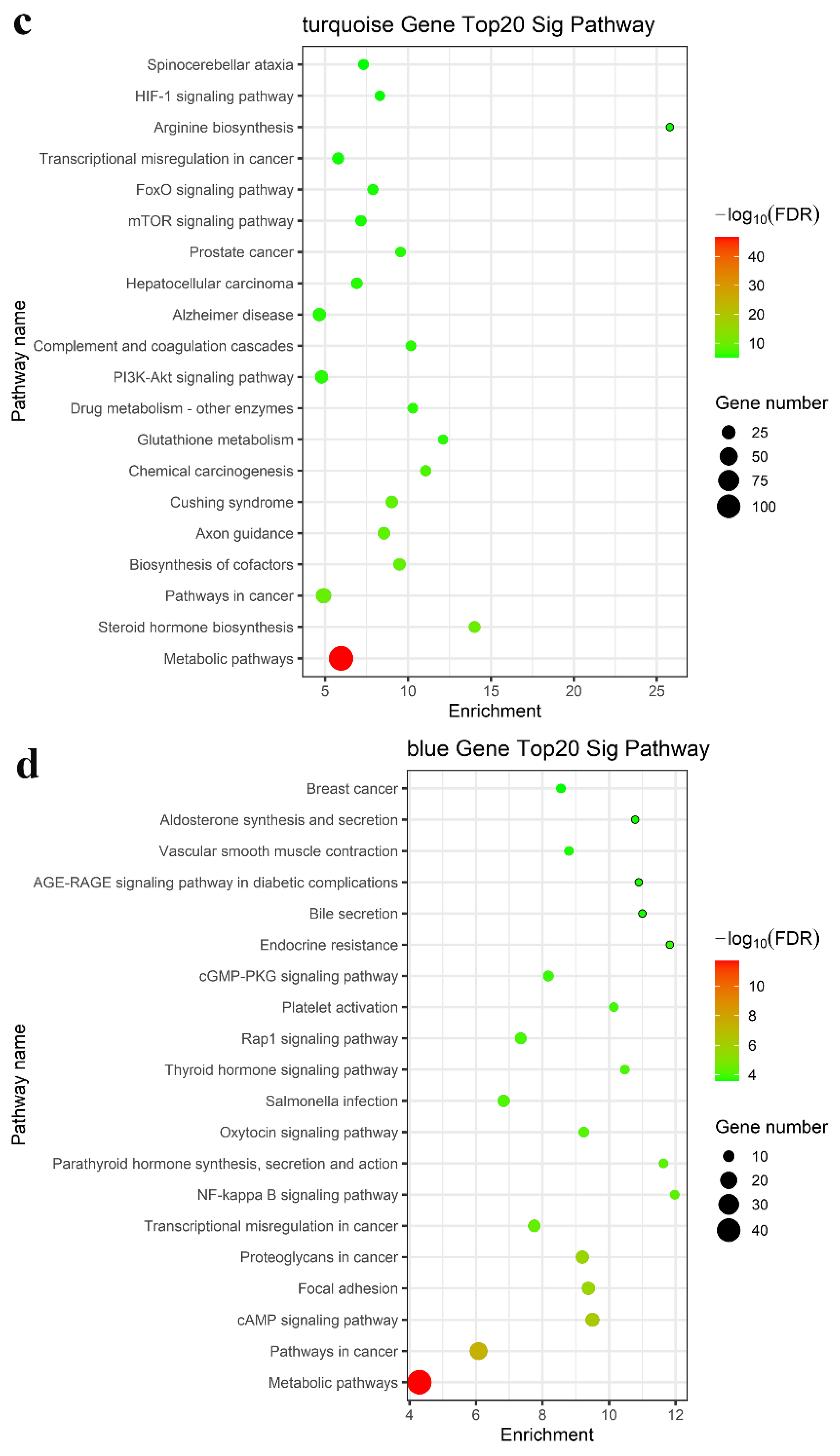 Nutrients 15 00948 g004b