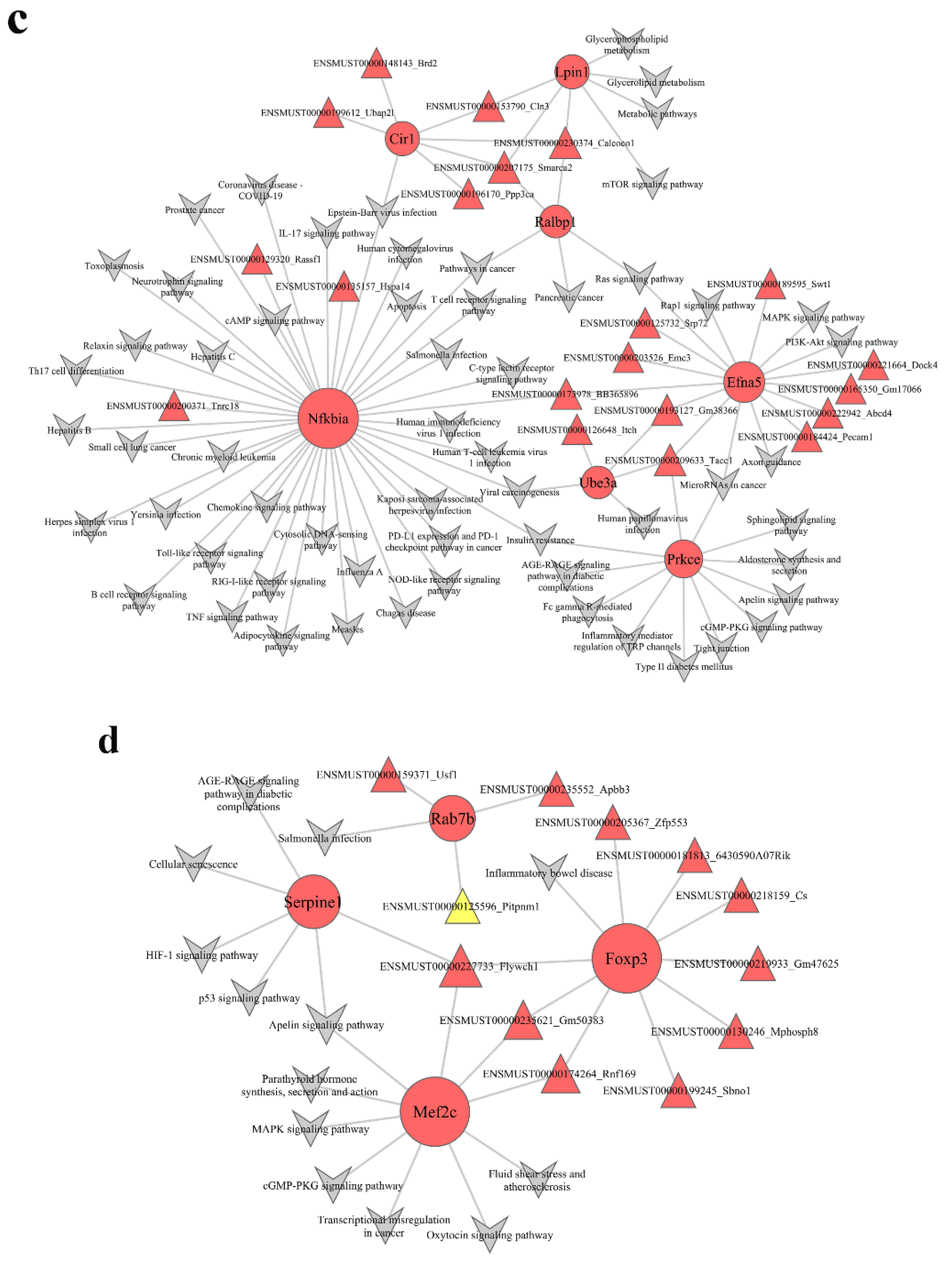 Nutrients 15 00948 g005c