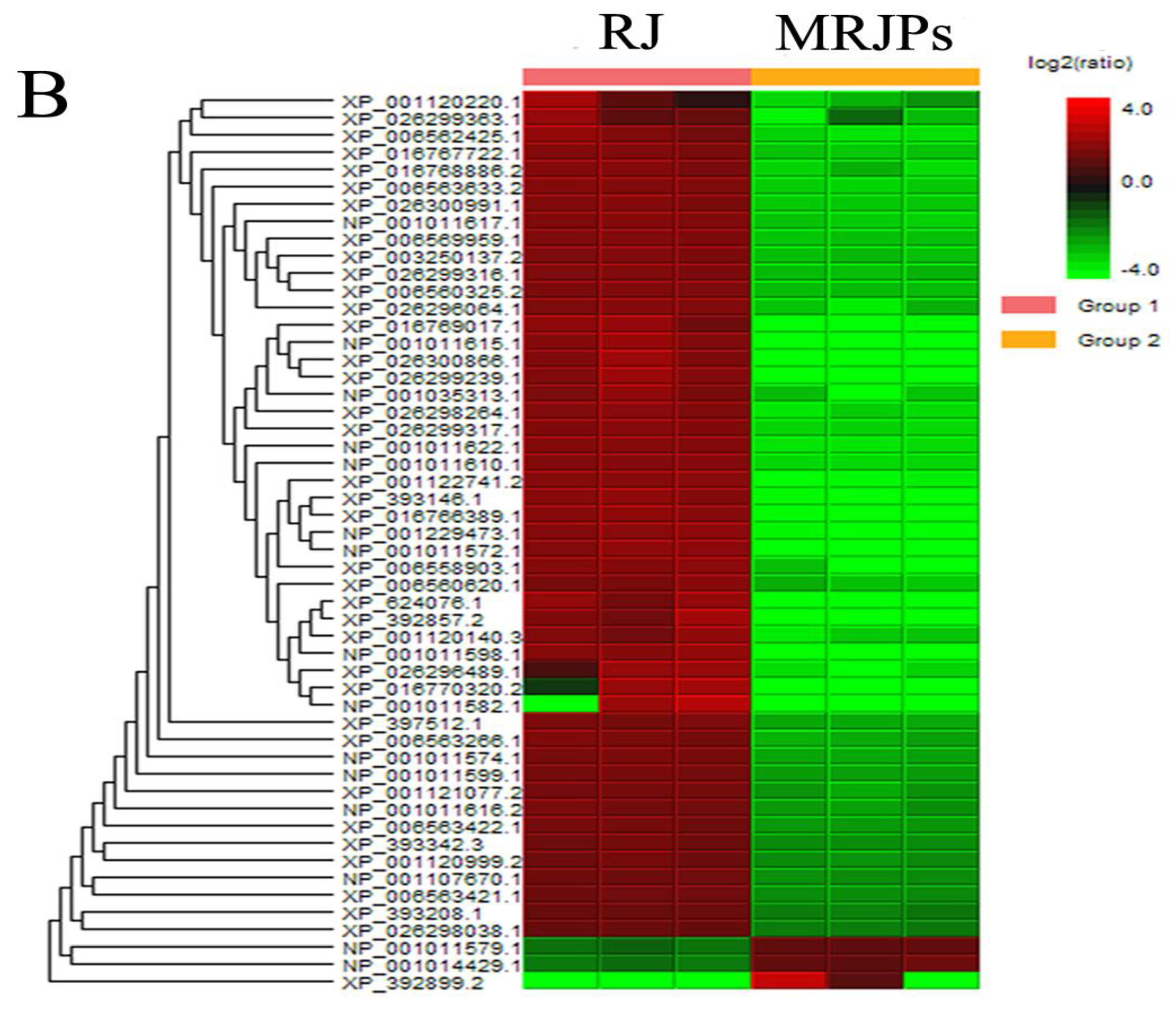 Nutrients 15 00974 g002b Nutrients 15 00974 g002b