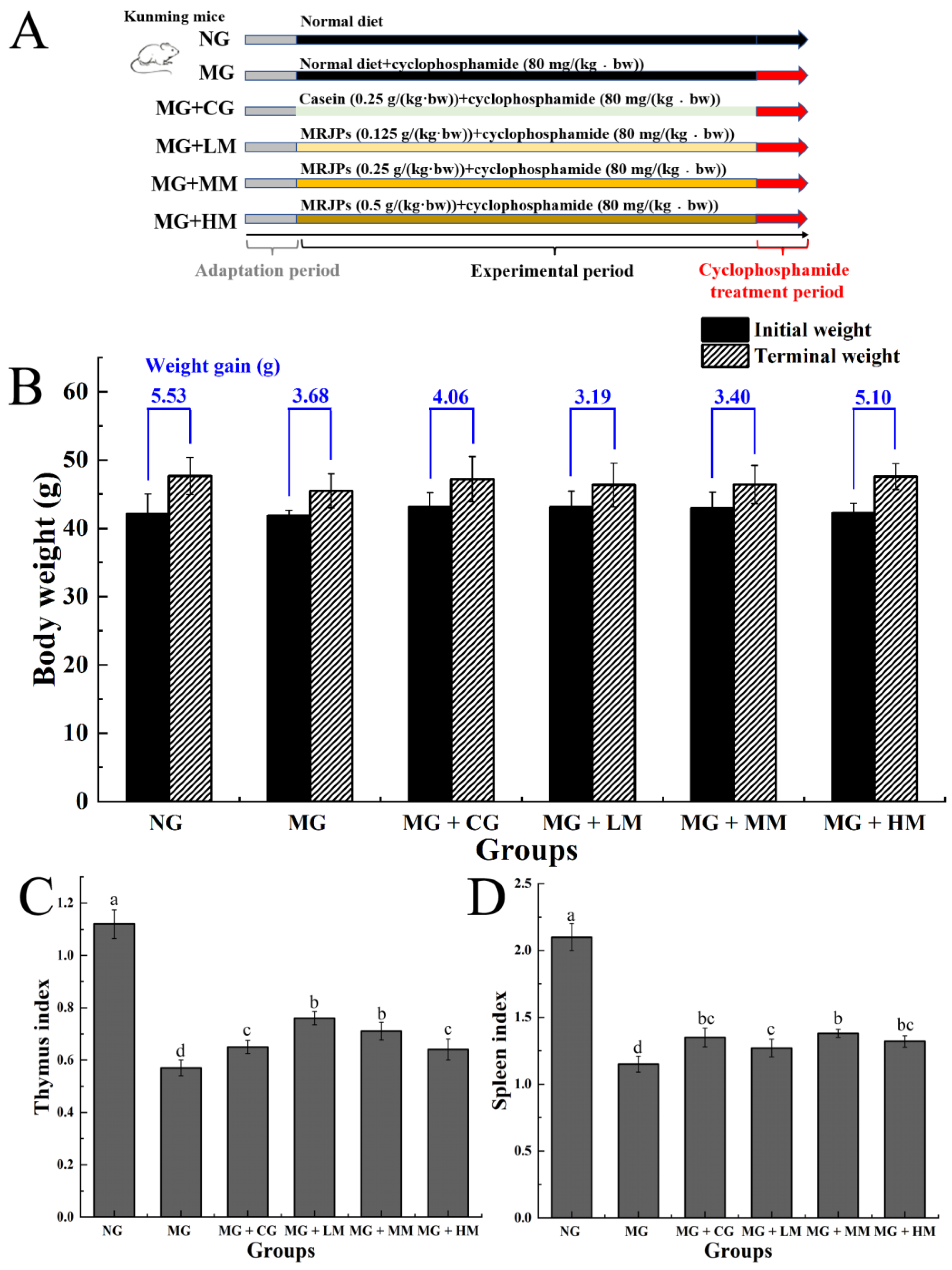 Nutrients 15 00974 g003 Nutrients 15 00974 g003