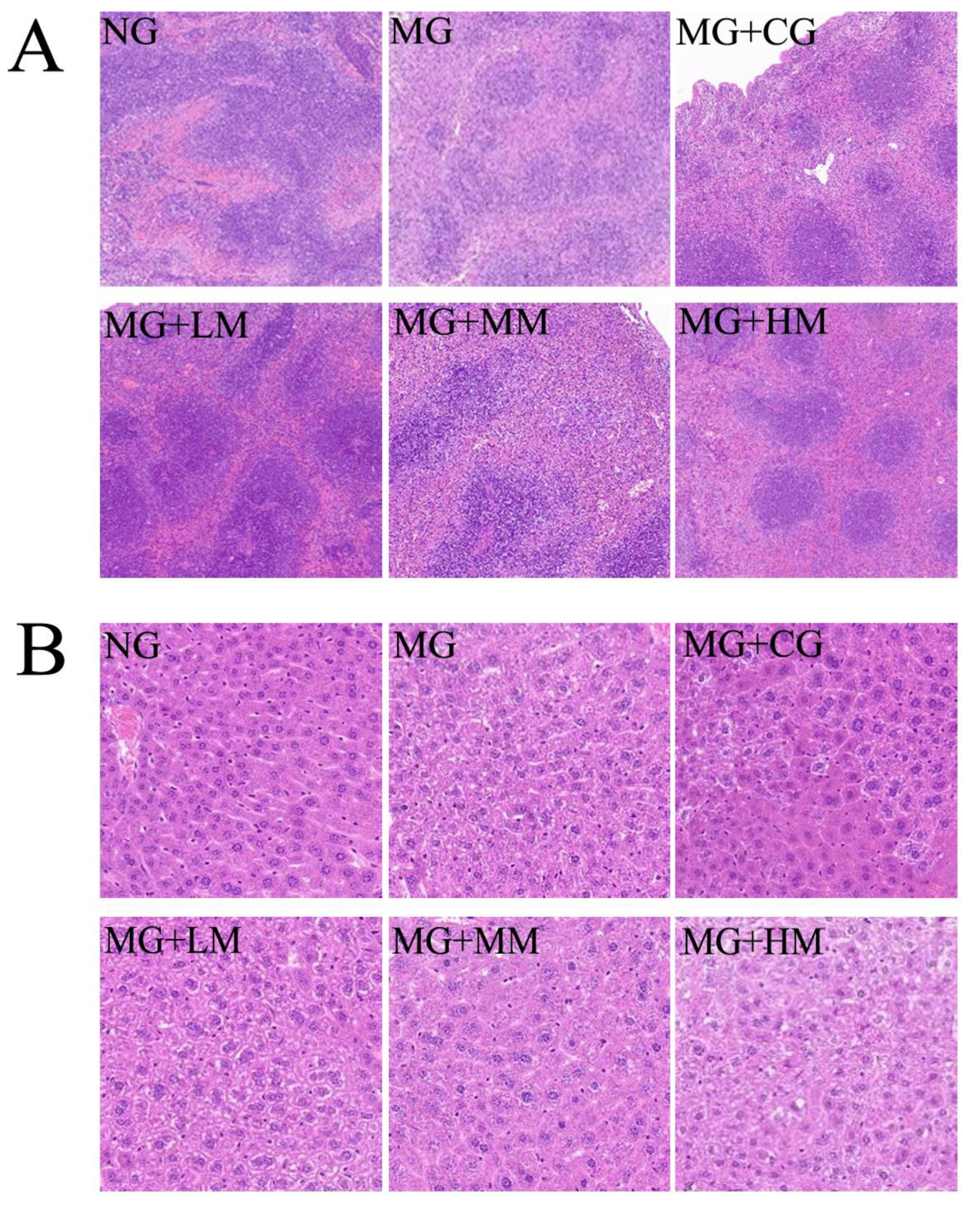 Nutrients 15 00974 g004 Nutrients 15 00974 g004