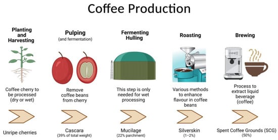brewing process - How much coffee grounds do I use for a large