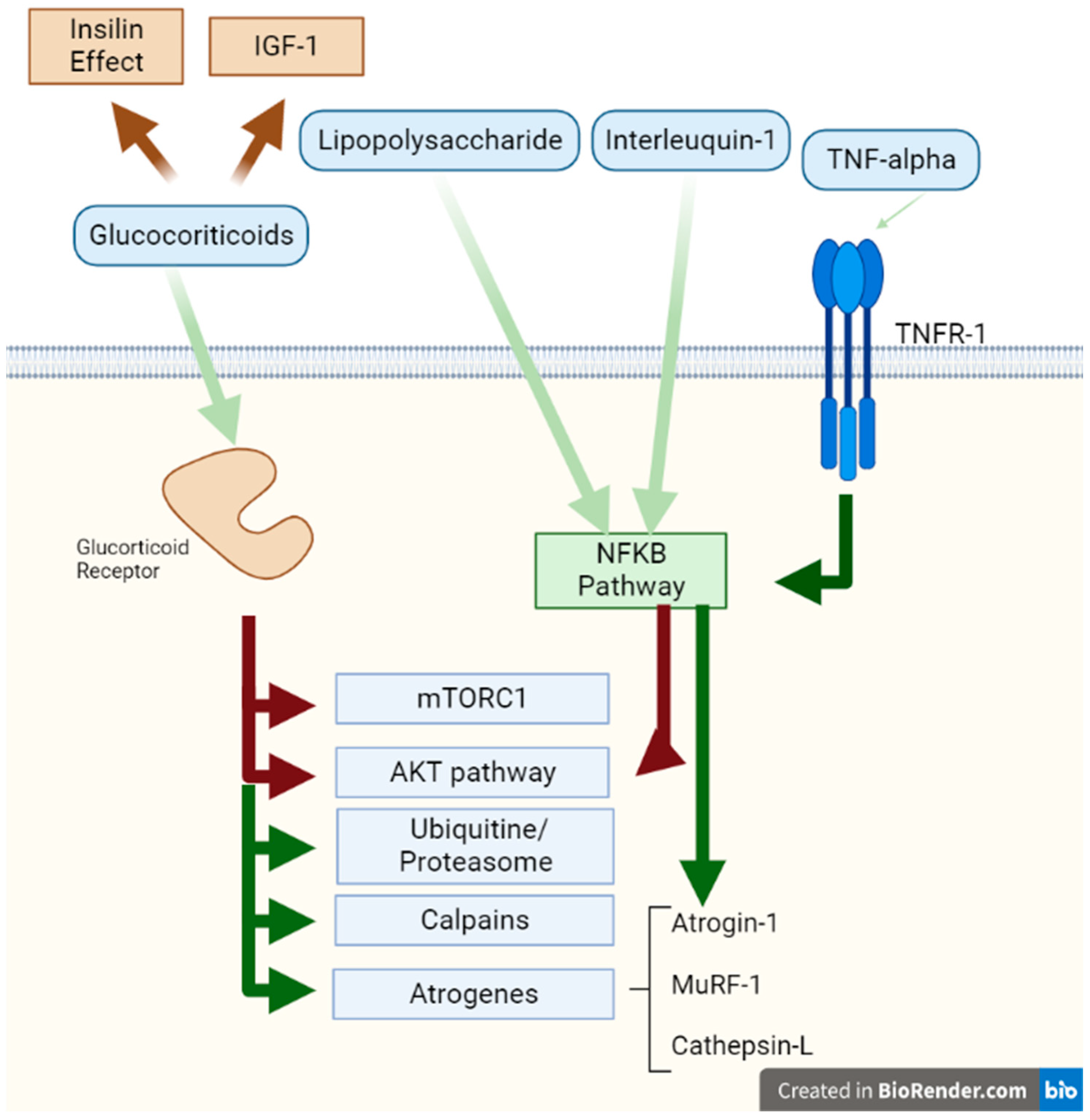 Nutrients 15 01071 g002 Nutrients 15 01071 g002