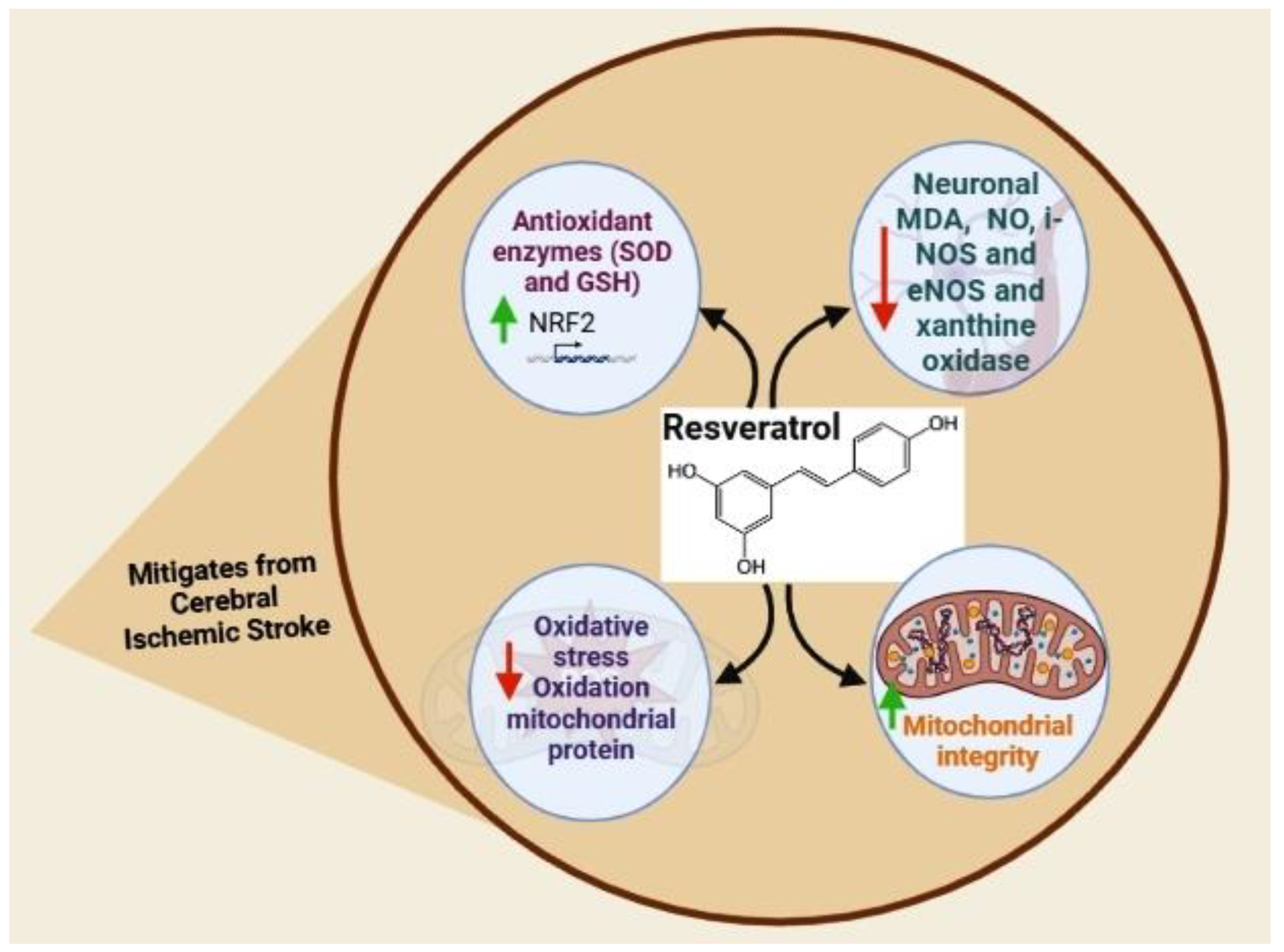 Nutrients 15 01107 g002