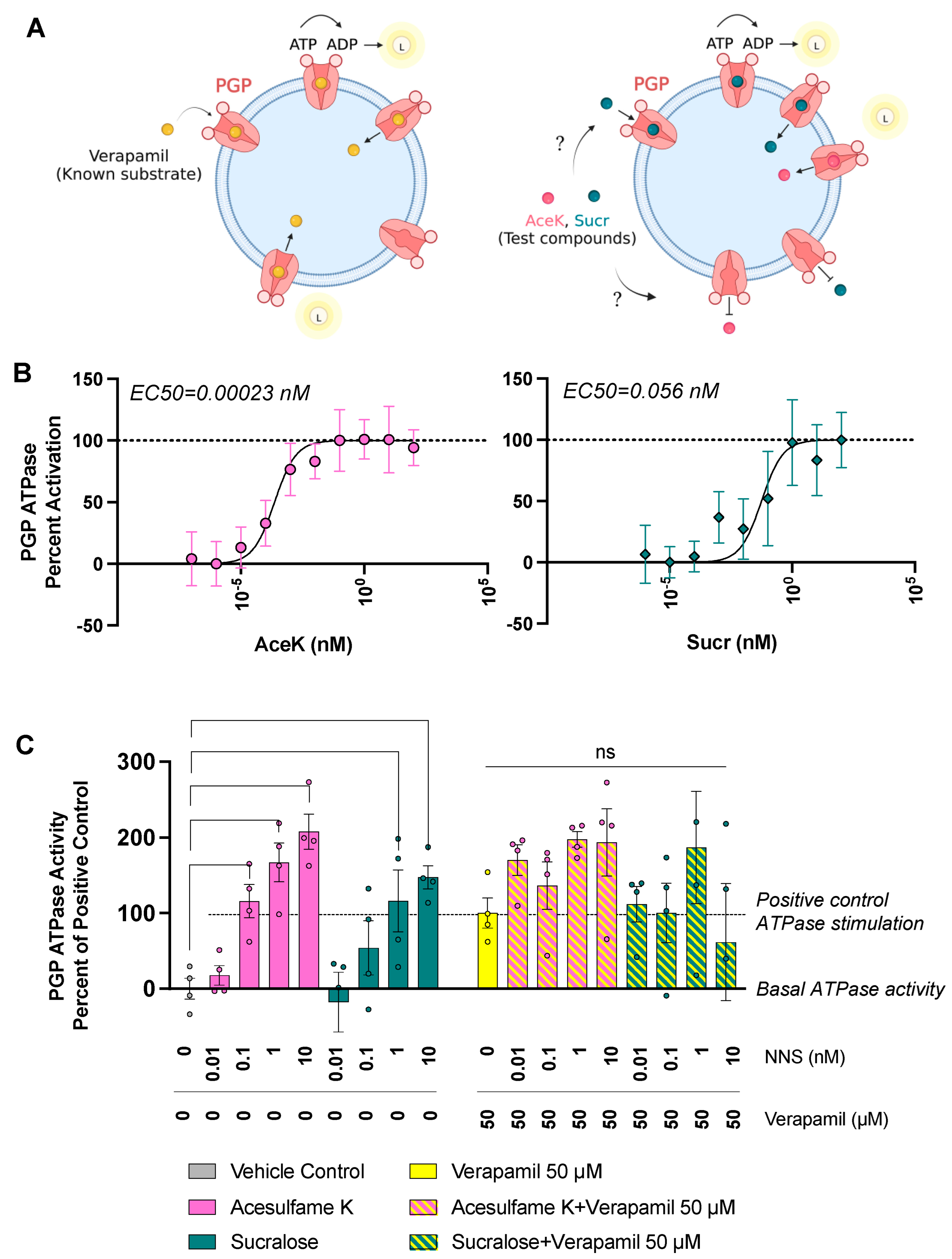 Nutrients 15 01118 g003 Nutrients 15 01118 g003