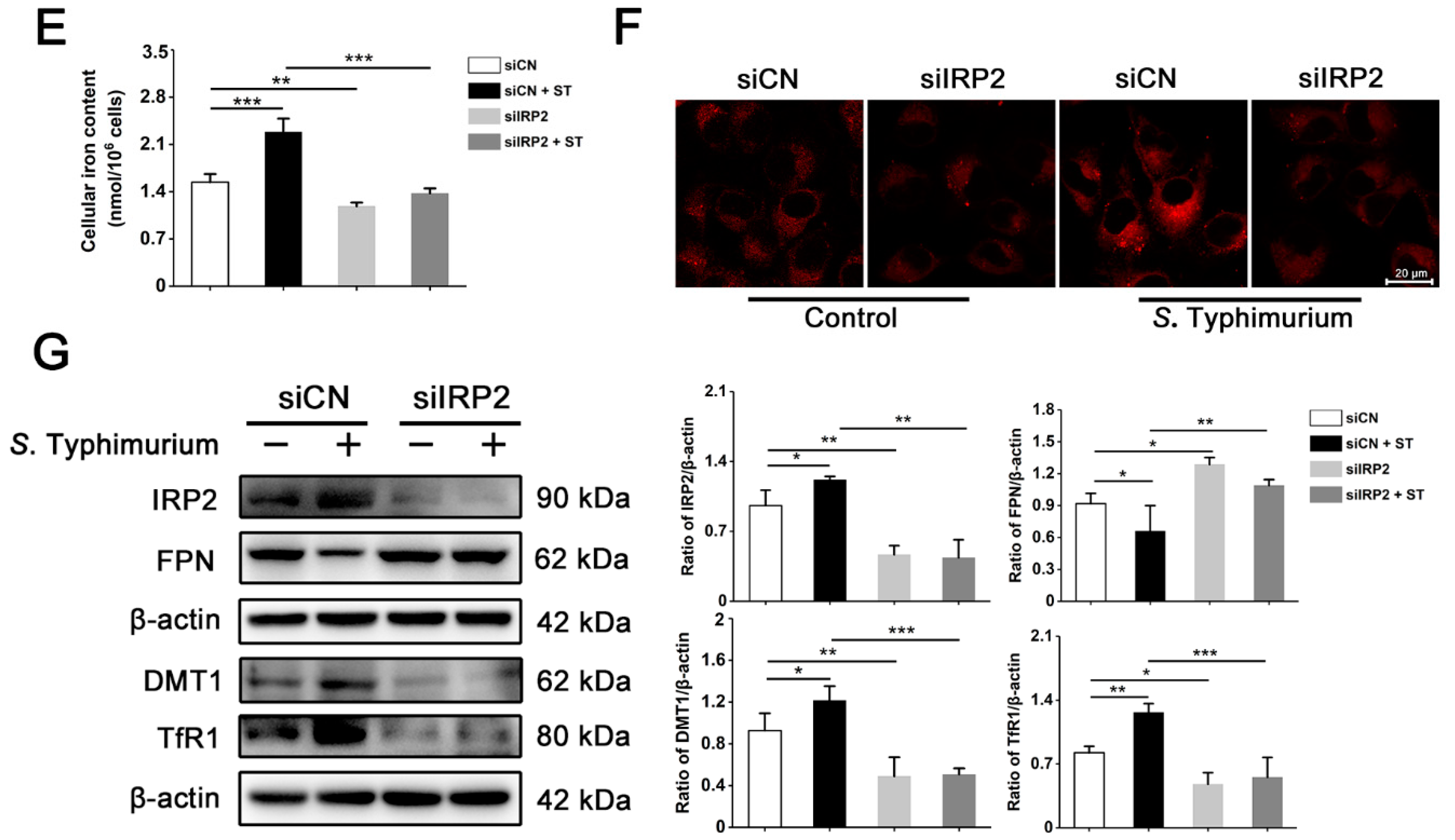 Nutrients 15 01127 g003b