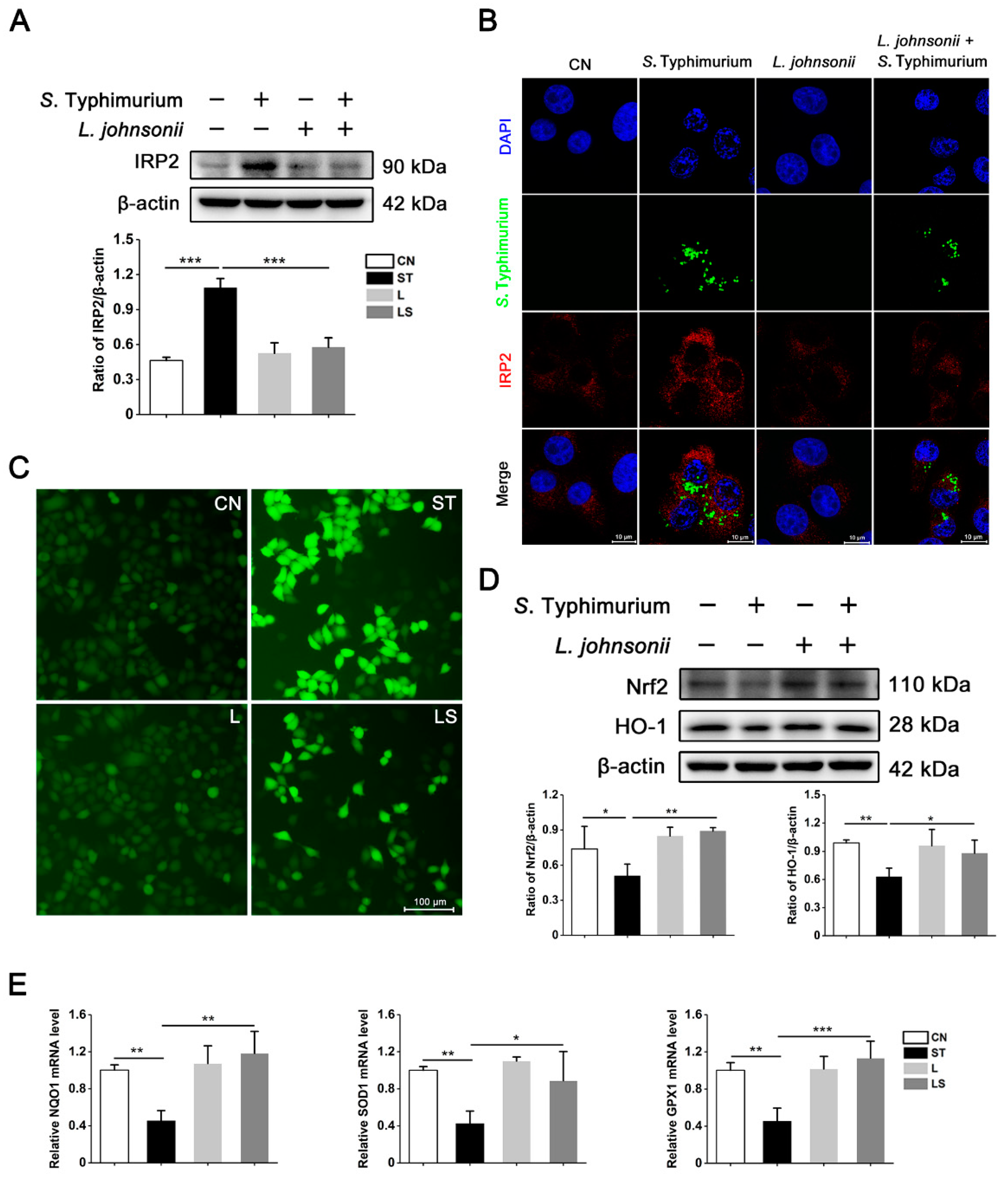 Nutrients 15 01127 g005