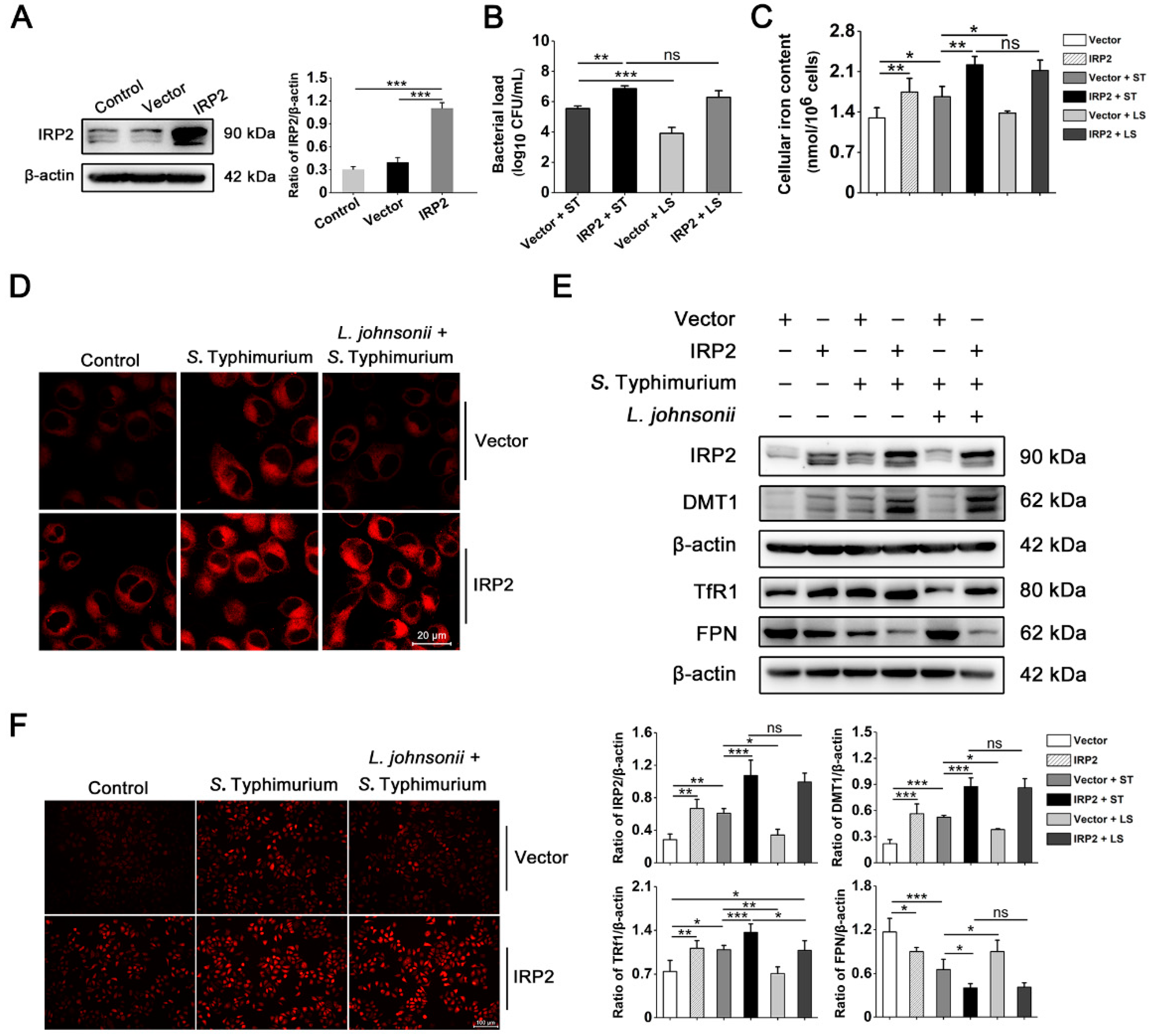 Nutrients 15 01127 g006a