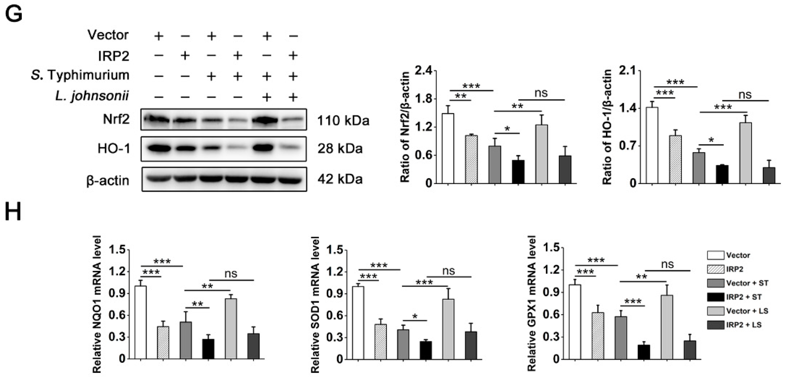 Nutrients 15 01127 g006b