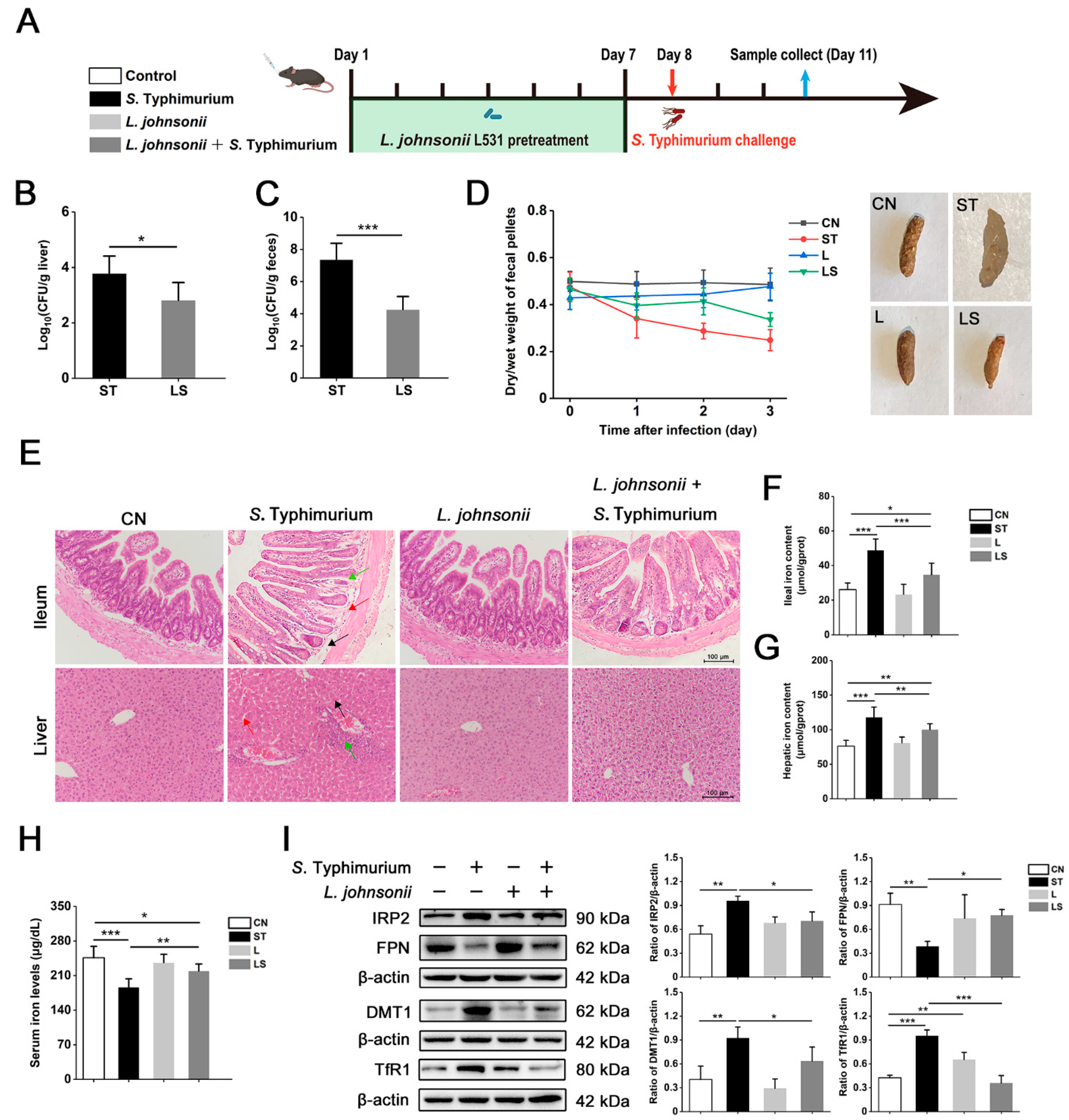 Nutrients 15 01127 g007a