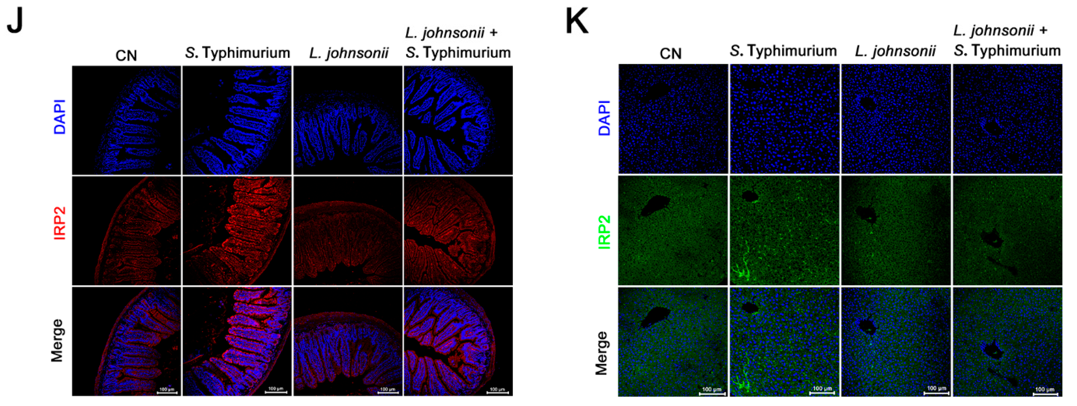 Nutrients 15 01127 g007b