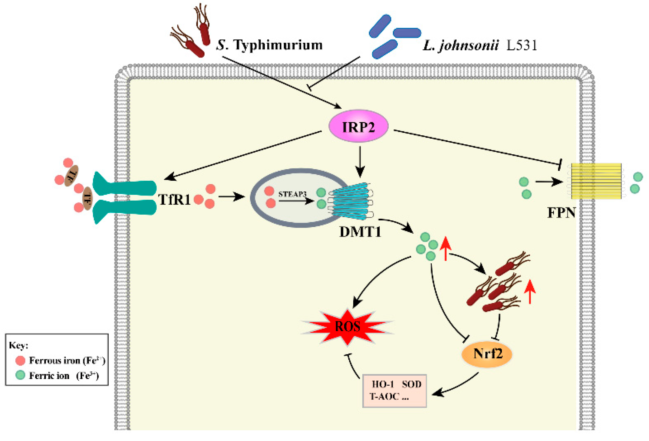 Nutrients 15 01127 g009