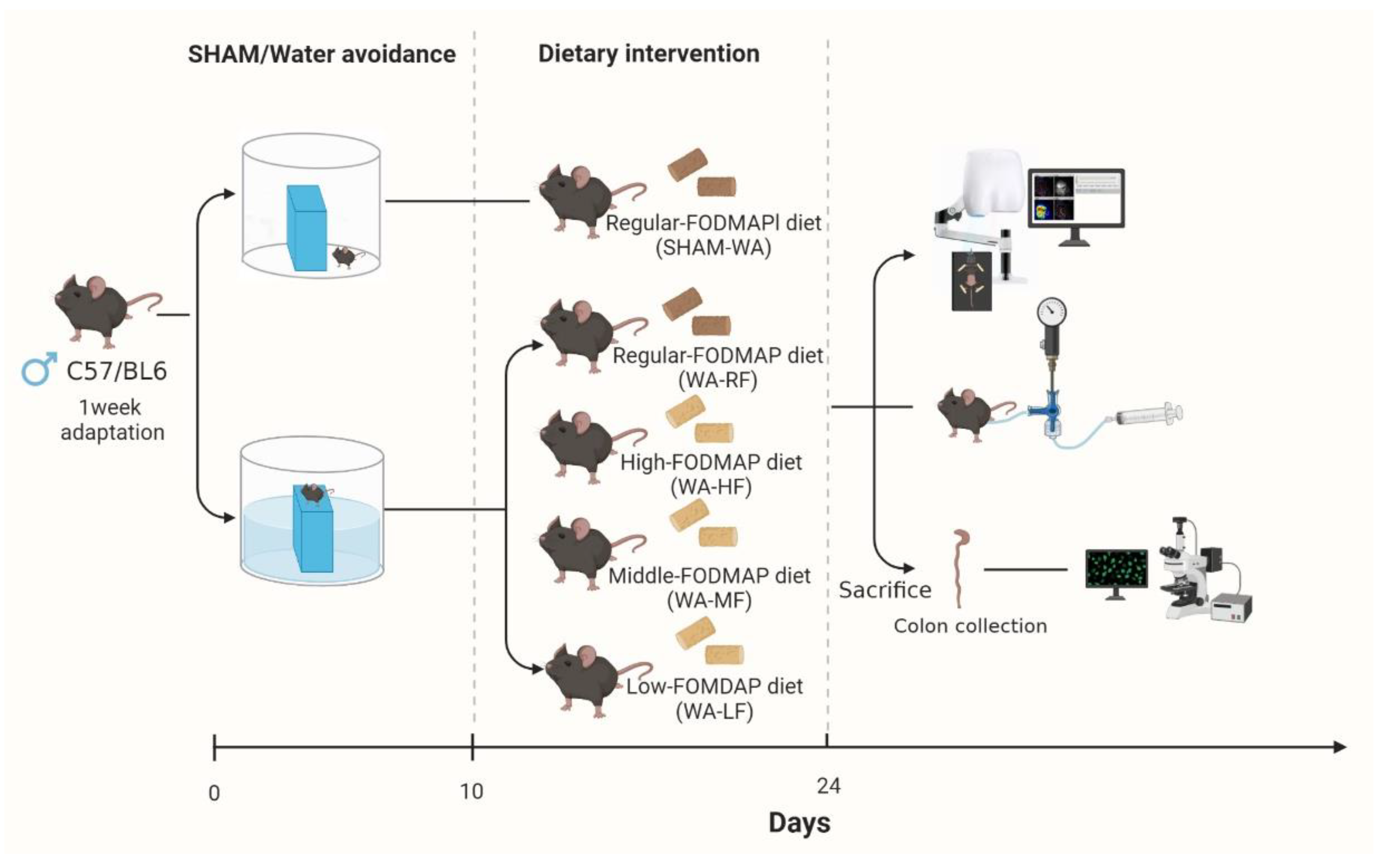 Nutrients 15 01155 g001