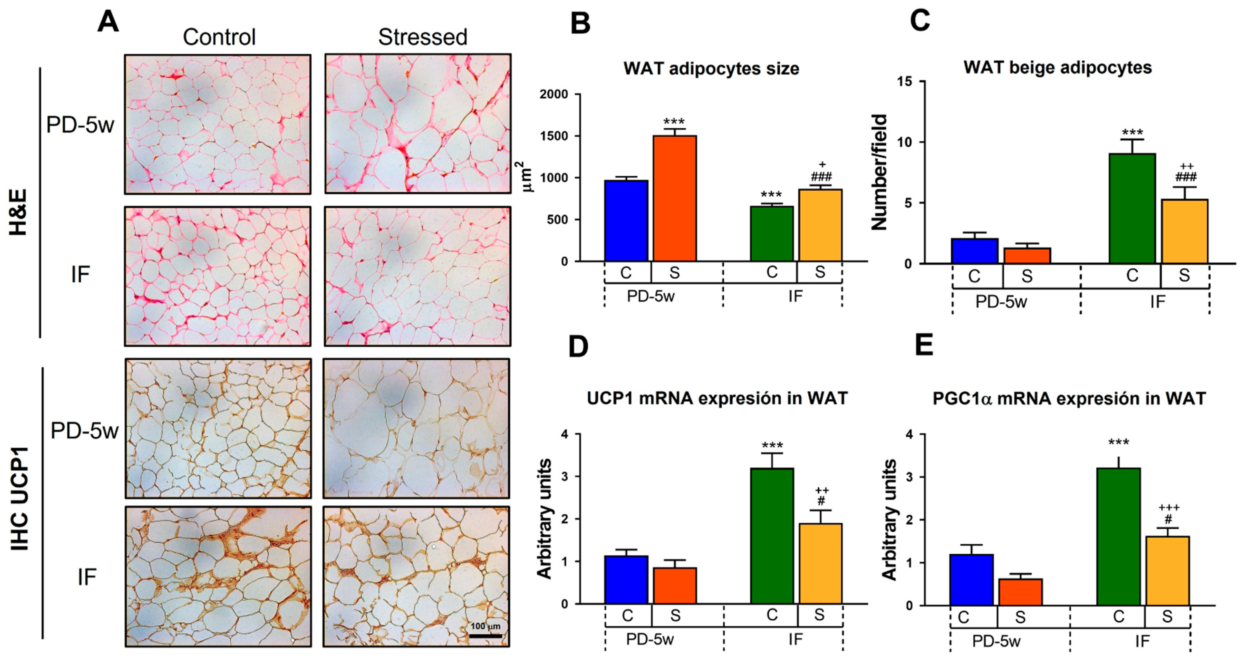 Nutrients 15 01164 g005 Nutrients 15 01164 g005