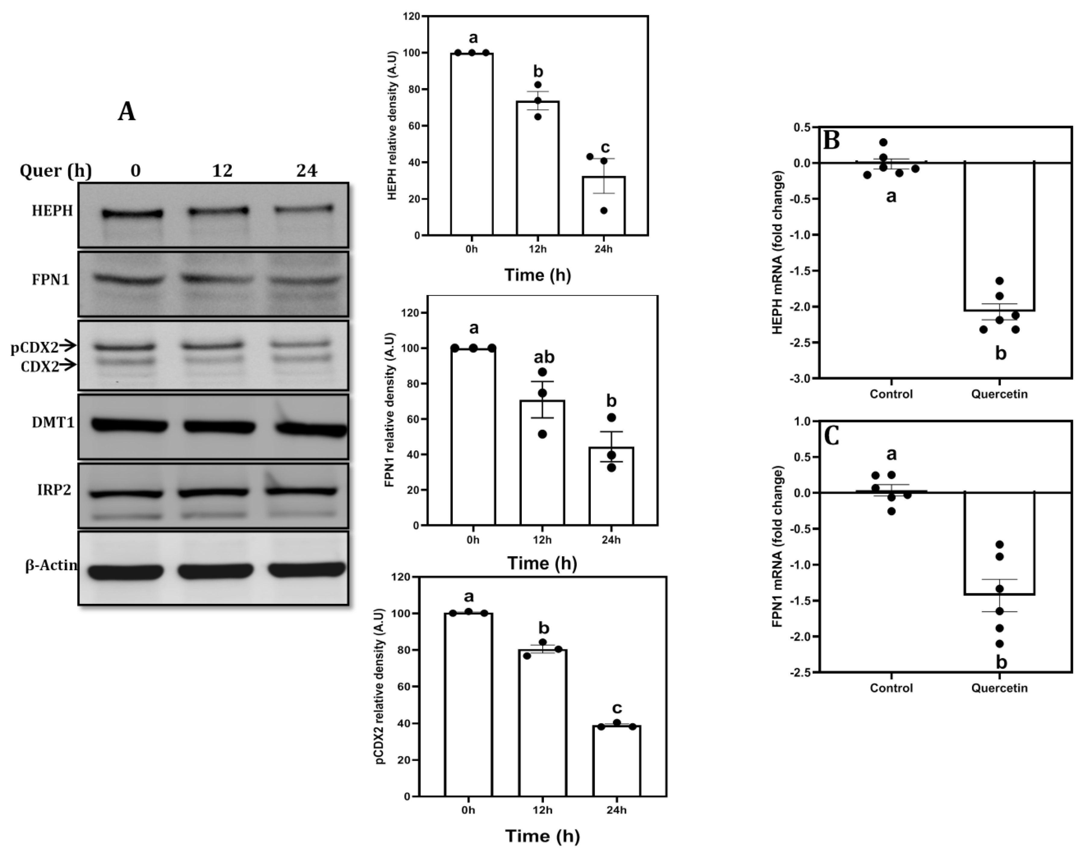 Nutrients 15 01205 g002 Nutrients 15 01205 g002