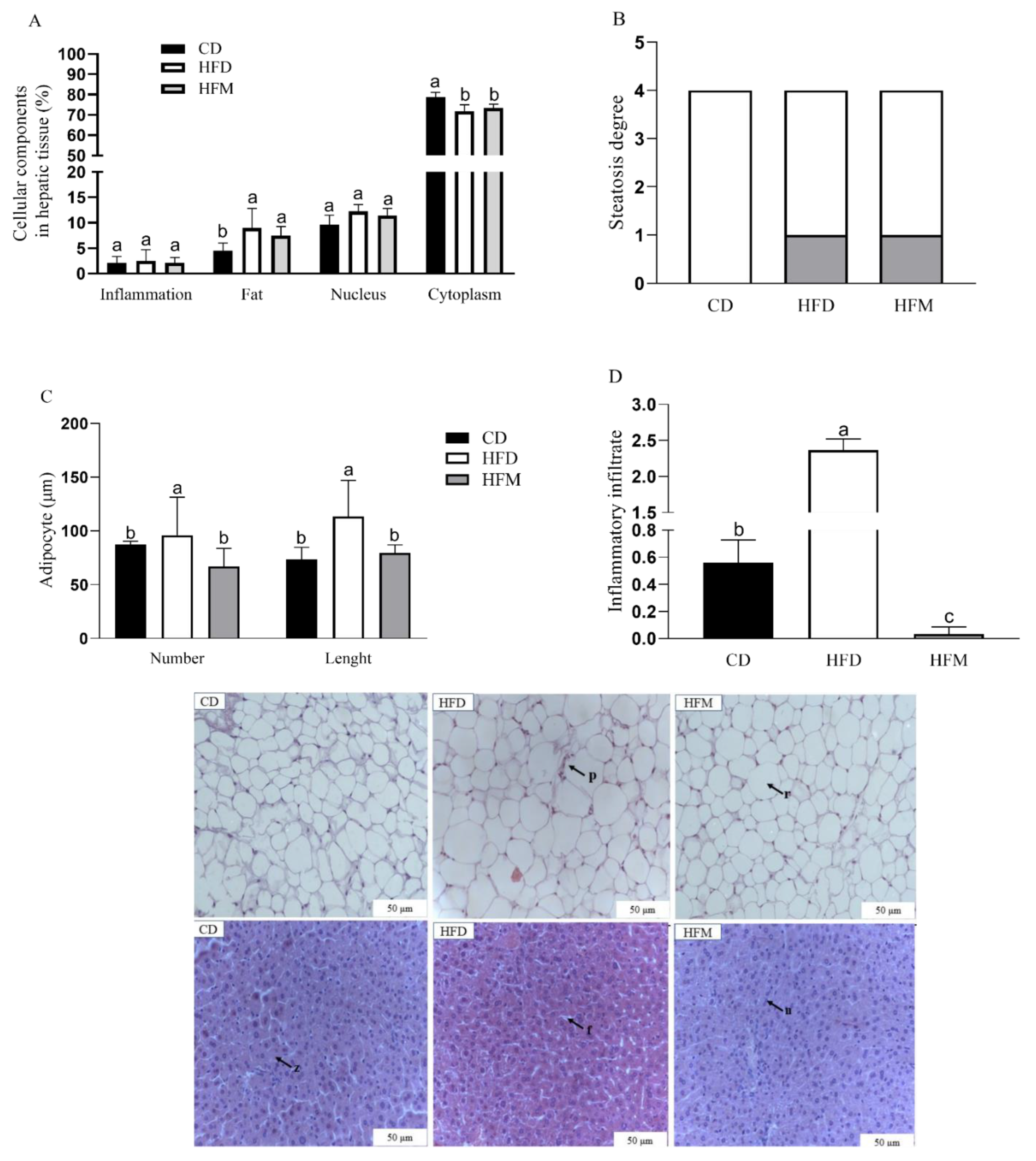 Nutrients 15 01252 g004 Nutrients 15 01252 g004