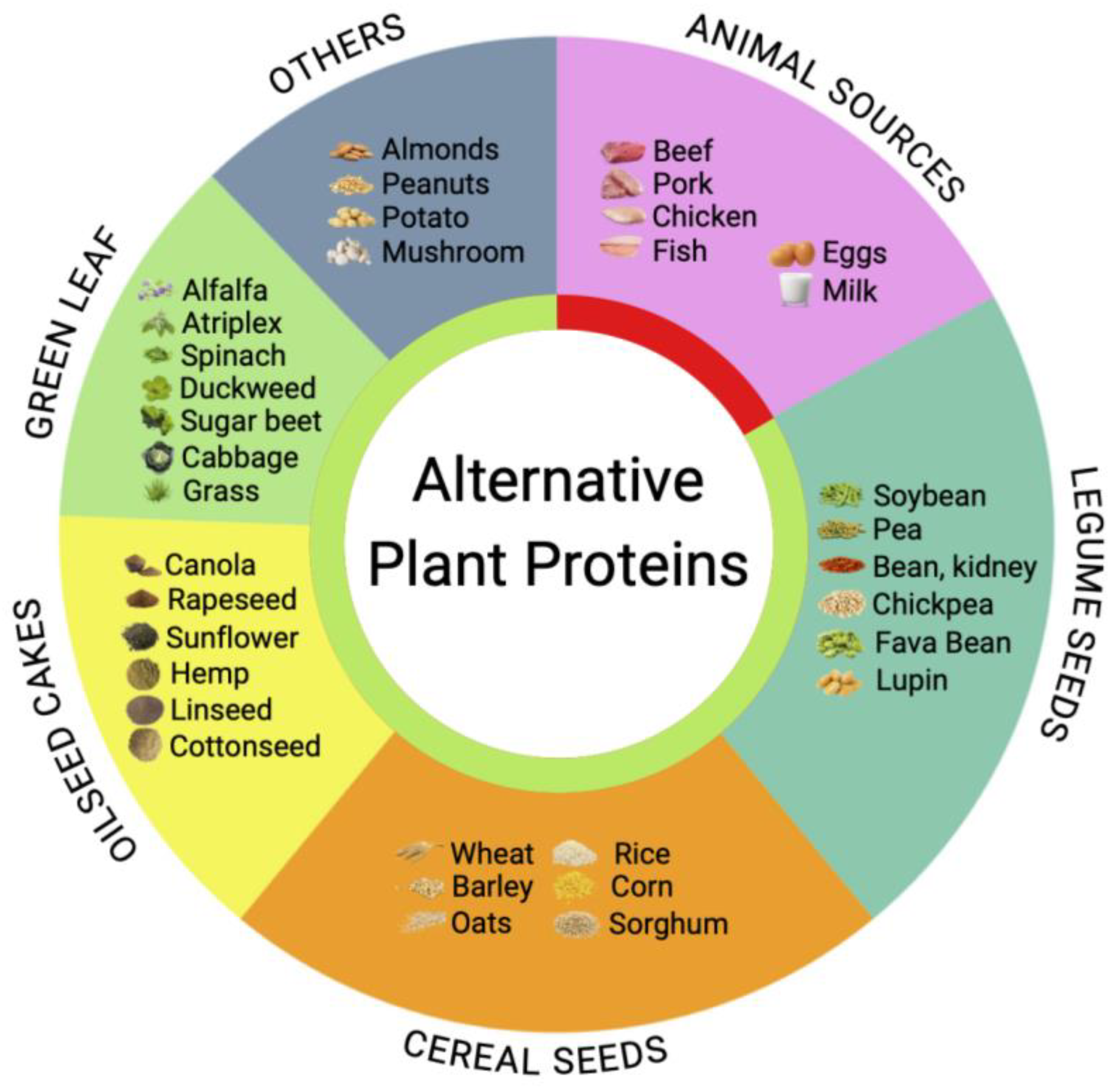 Nutrients | Free Full-Text | Current Status and Nutritional Value of Green  Leaf Protein
