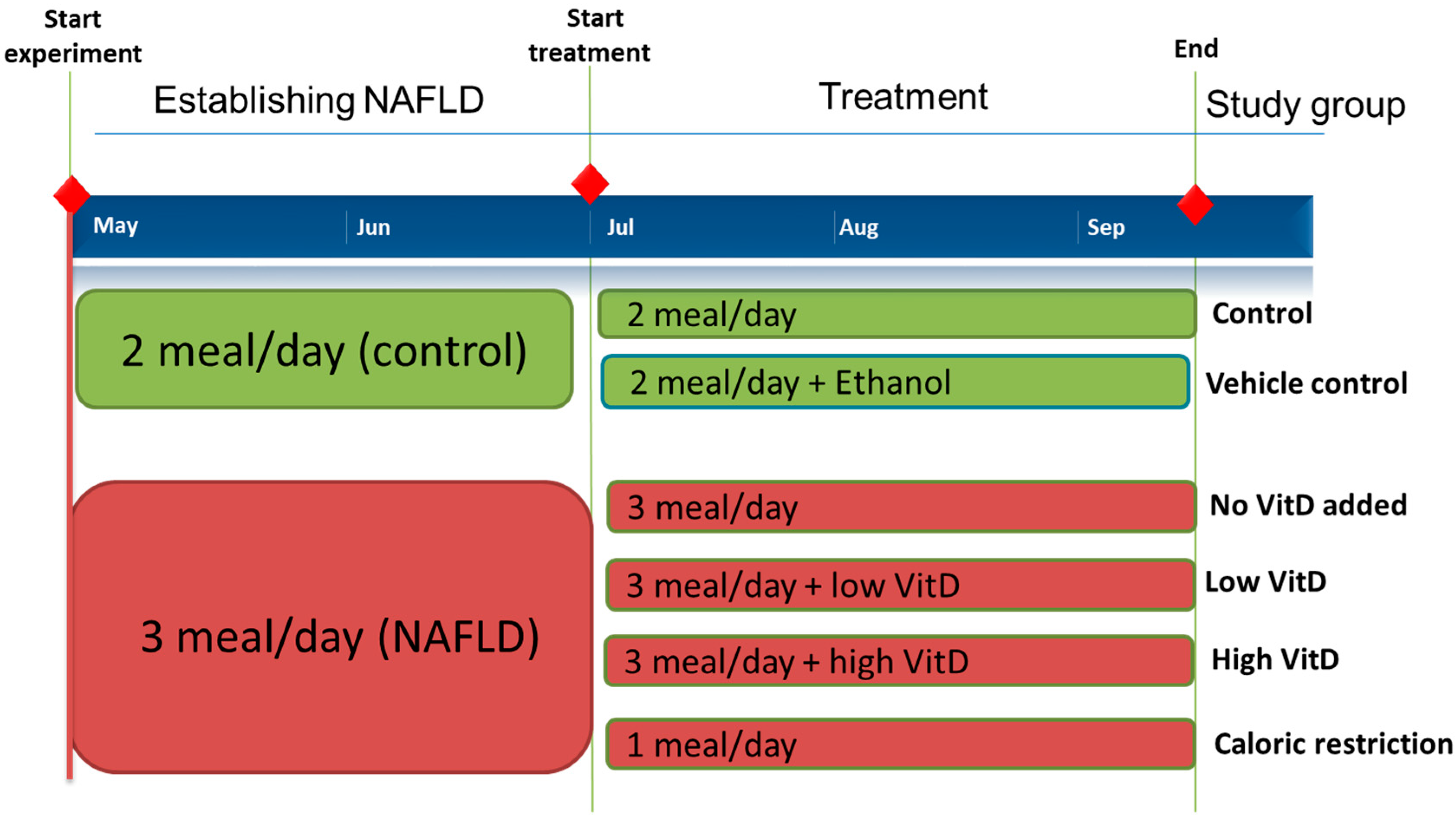 Nutrients 15 01362 g001 Nutrients 15 01362 g001