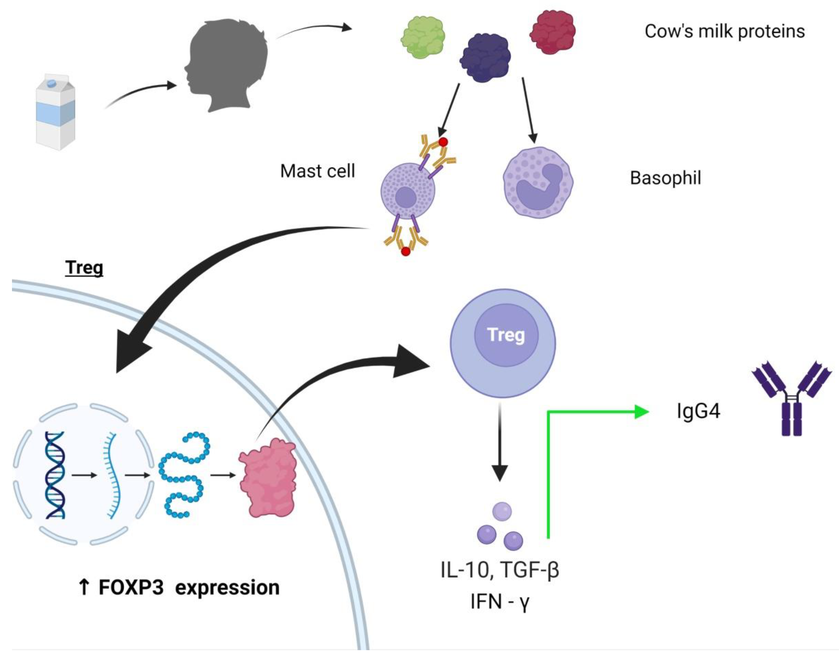Nutrients 15 01397 g004 Nutrients 15 01397 g004