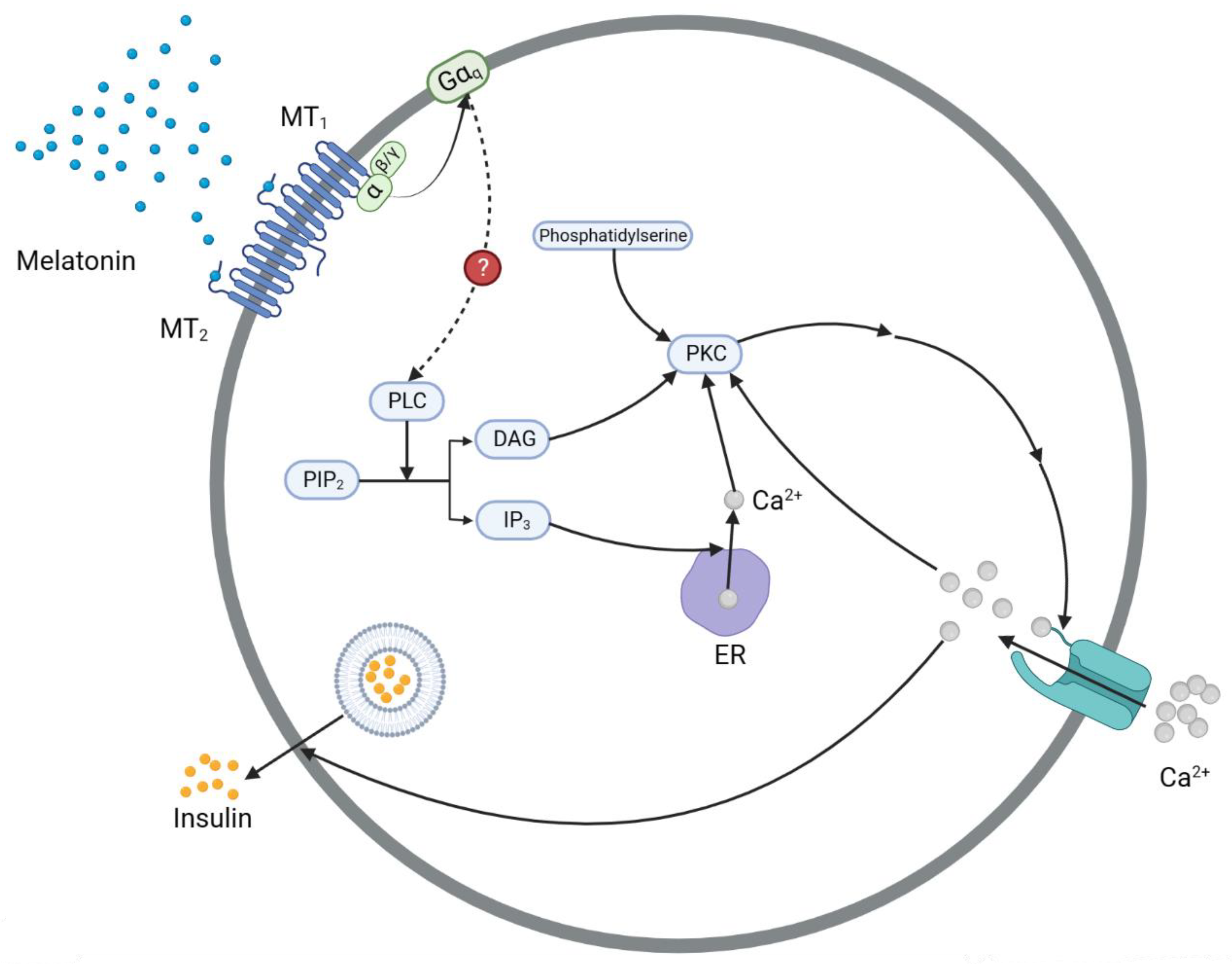 Nutrients 15 01406 g003 Nutrients 15 01406 g003
