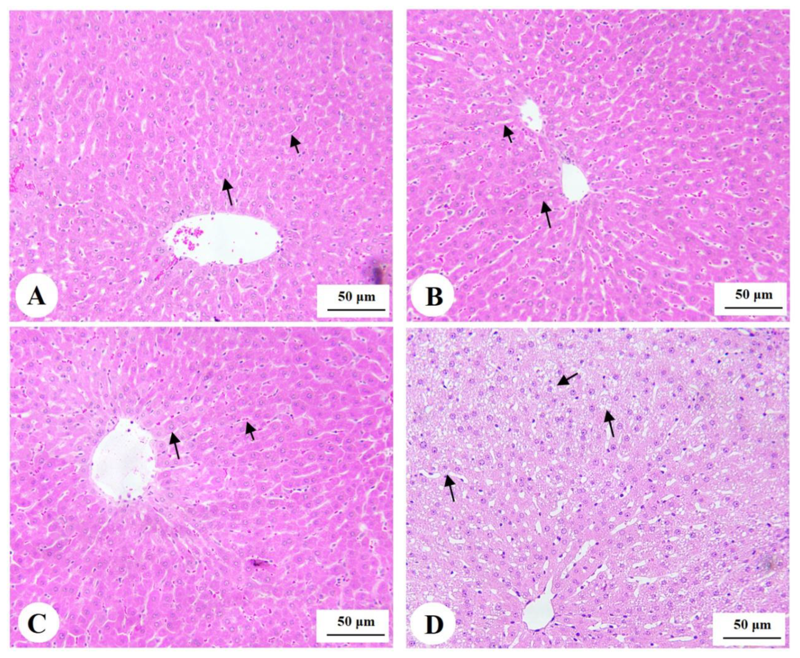 Nutrients 15 01456 g004 Nutrients 15 01456 g004