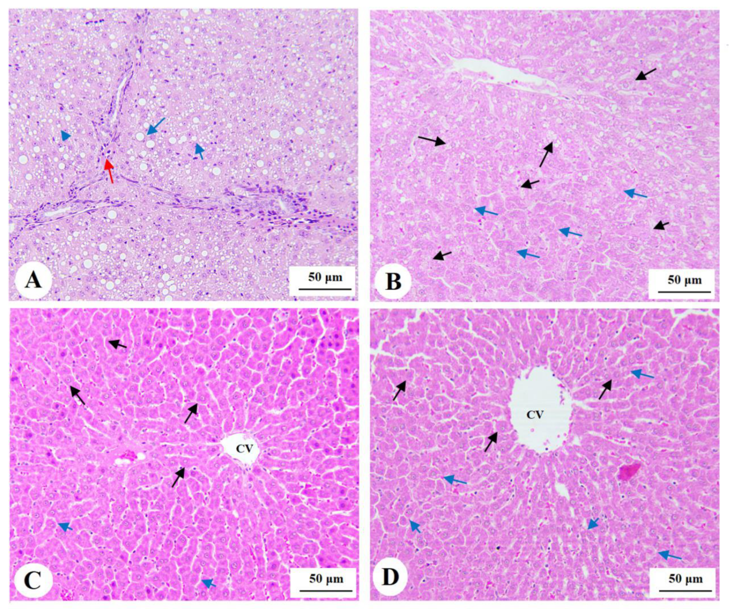 Nutrients 15 01456 g005 Nutrients 15 01456 g005