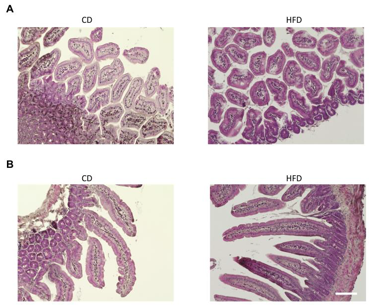 Nutrients 15 01473 g002
