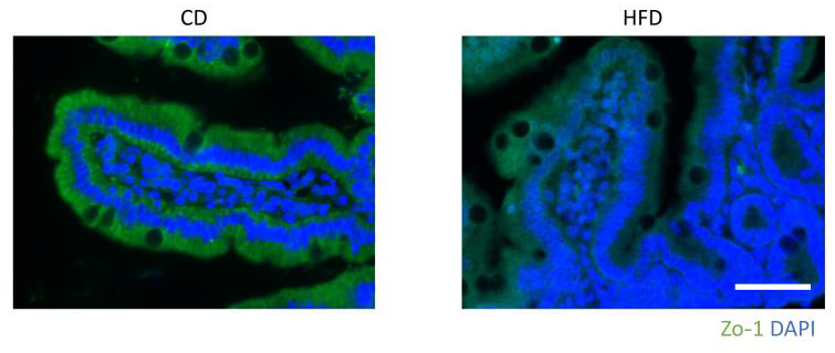 Nutrients 15 01473 g003