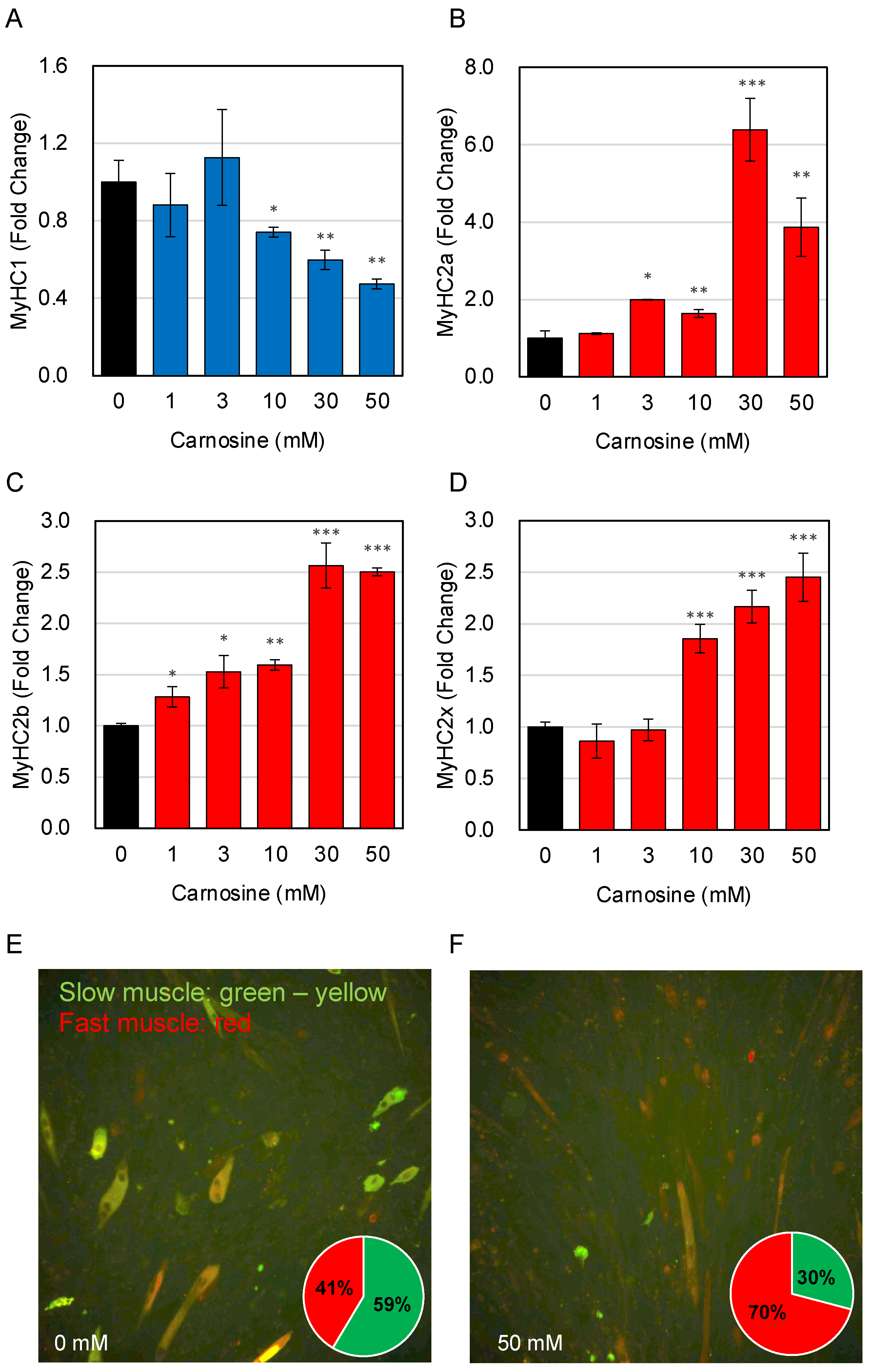 Nutrients 15 01479 g002 Nutrients 15 01479 g002
