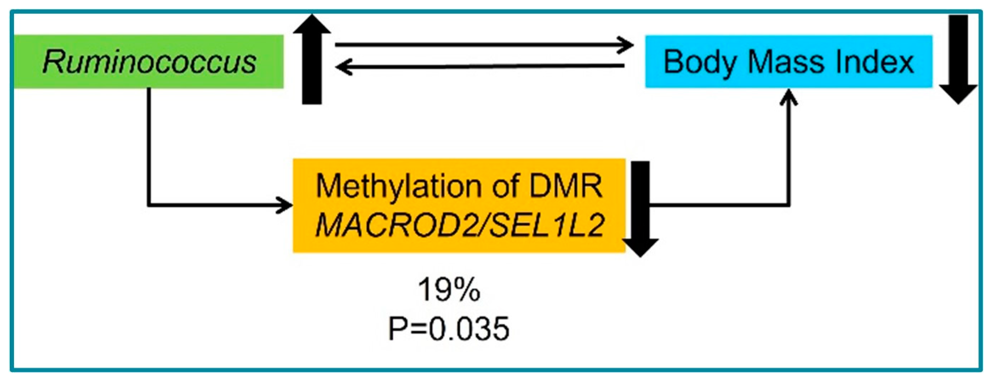 Nutrients 15 01550 g002 Nutrients 15 01550 g002