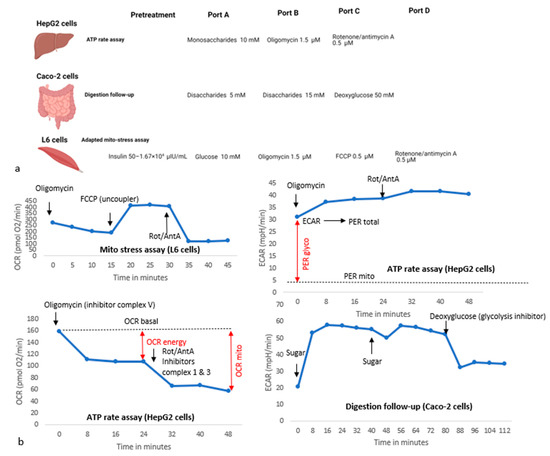 www.mdpi.com/nutrients/nutrients-15-01593/article_...