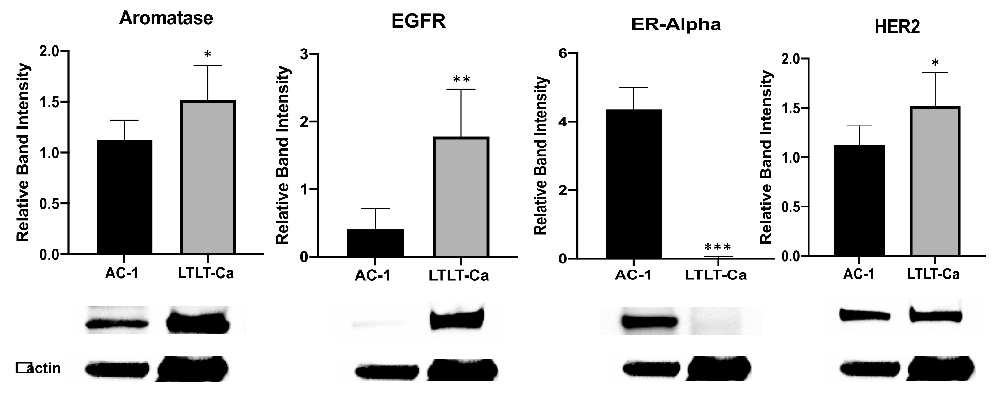 Nutrients 15 01632 g001 Nutrients 15 01632 g001