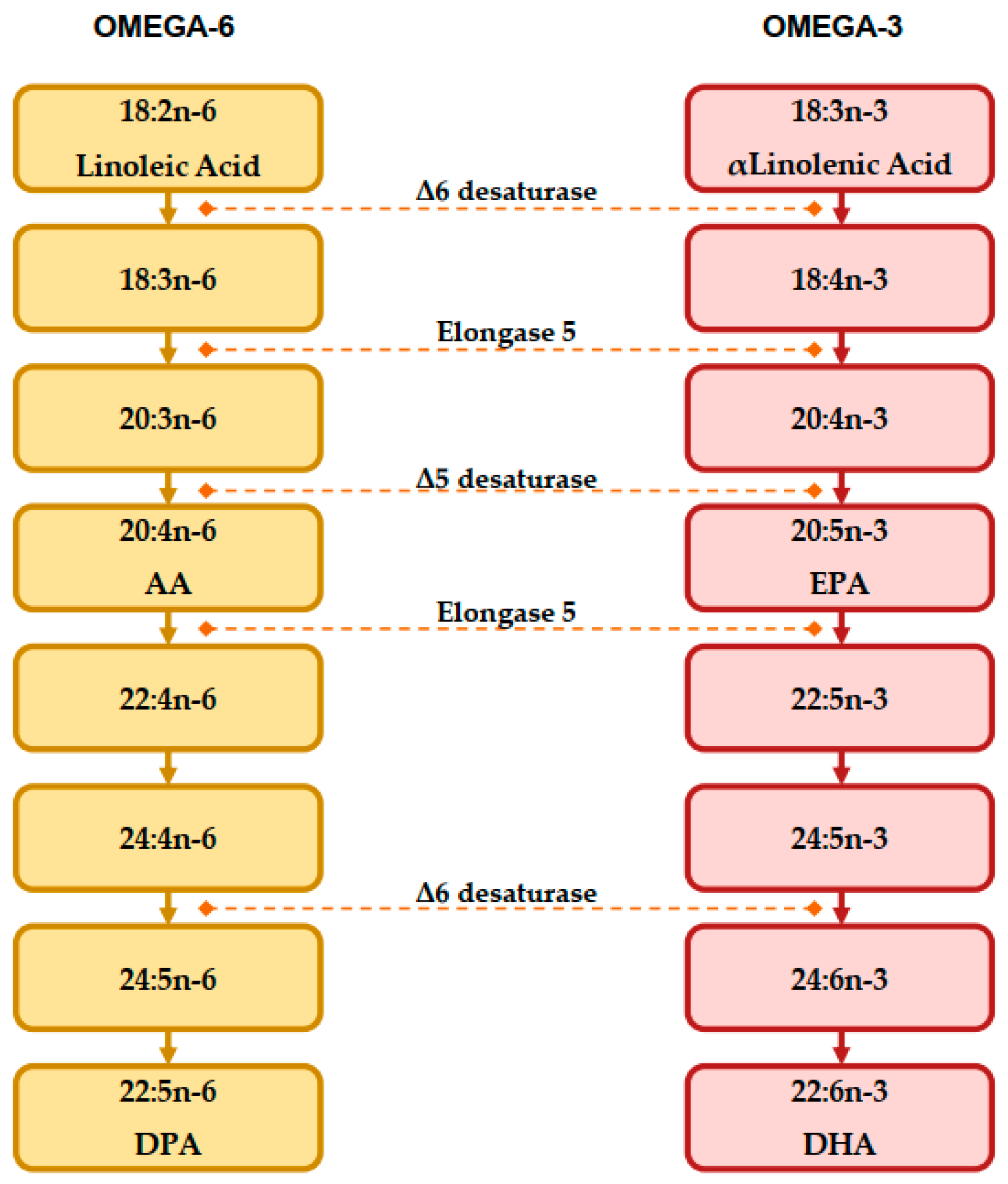 Nutrients 15 01661 g002 Nutrients 15 01661 g002
