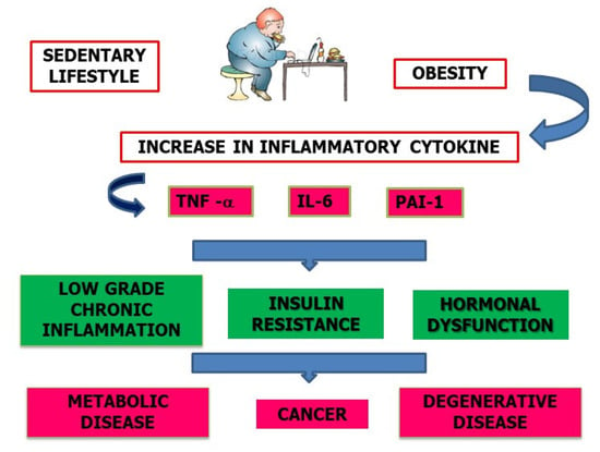 Chronic Subclinical Inflammation as Part of the Insulin Resistance Syndrome