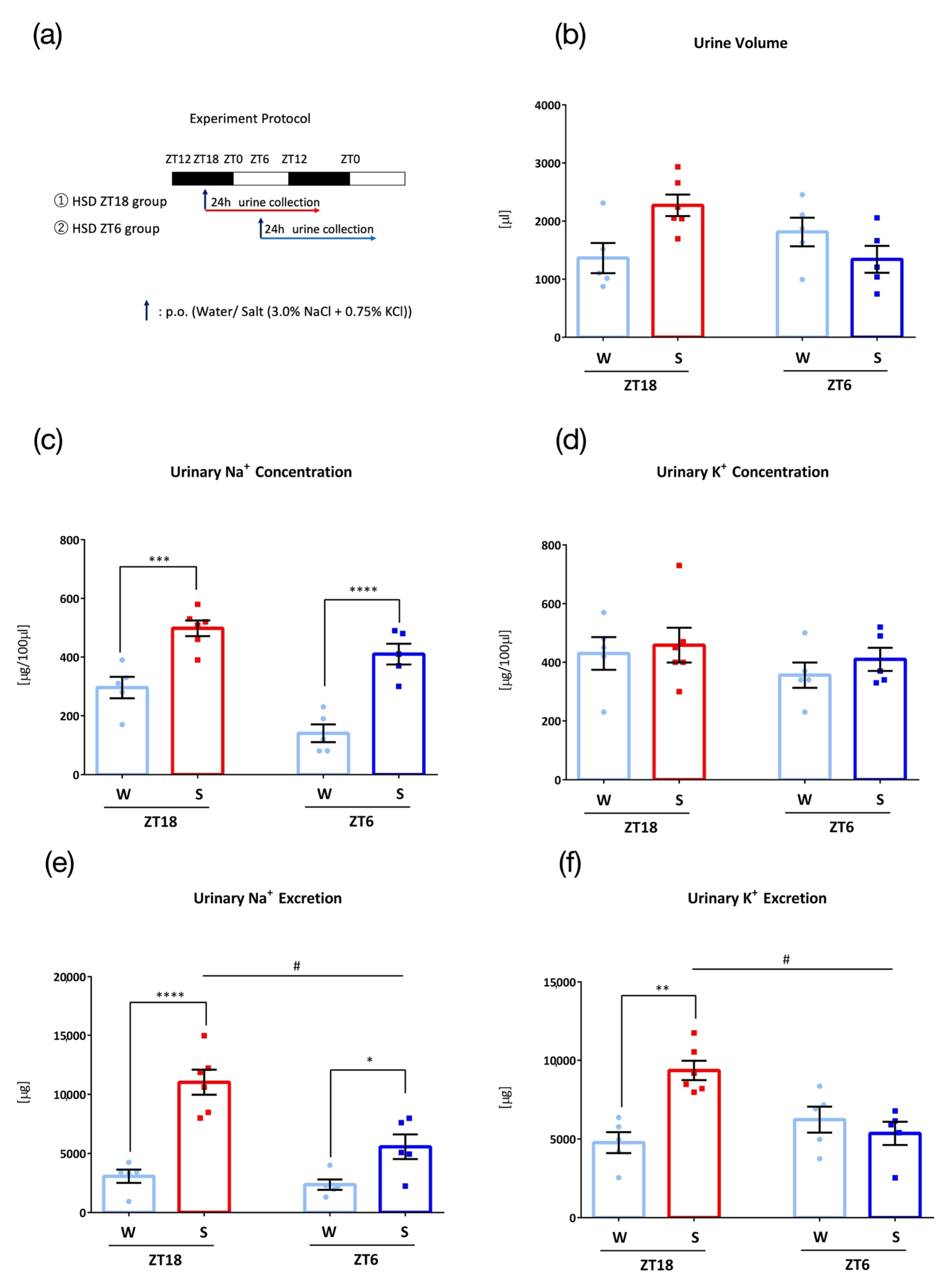 Nutrients 15 01679 g004 Nutrients 15 01679 g004