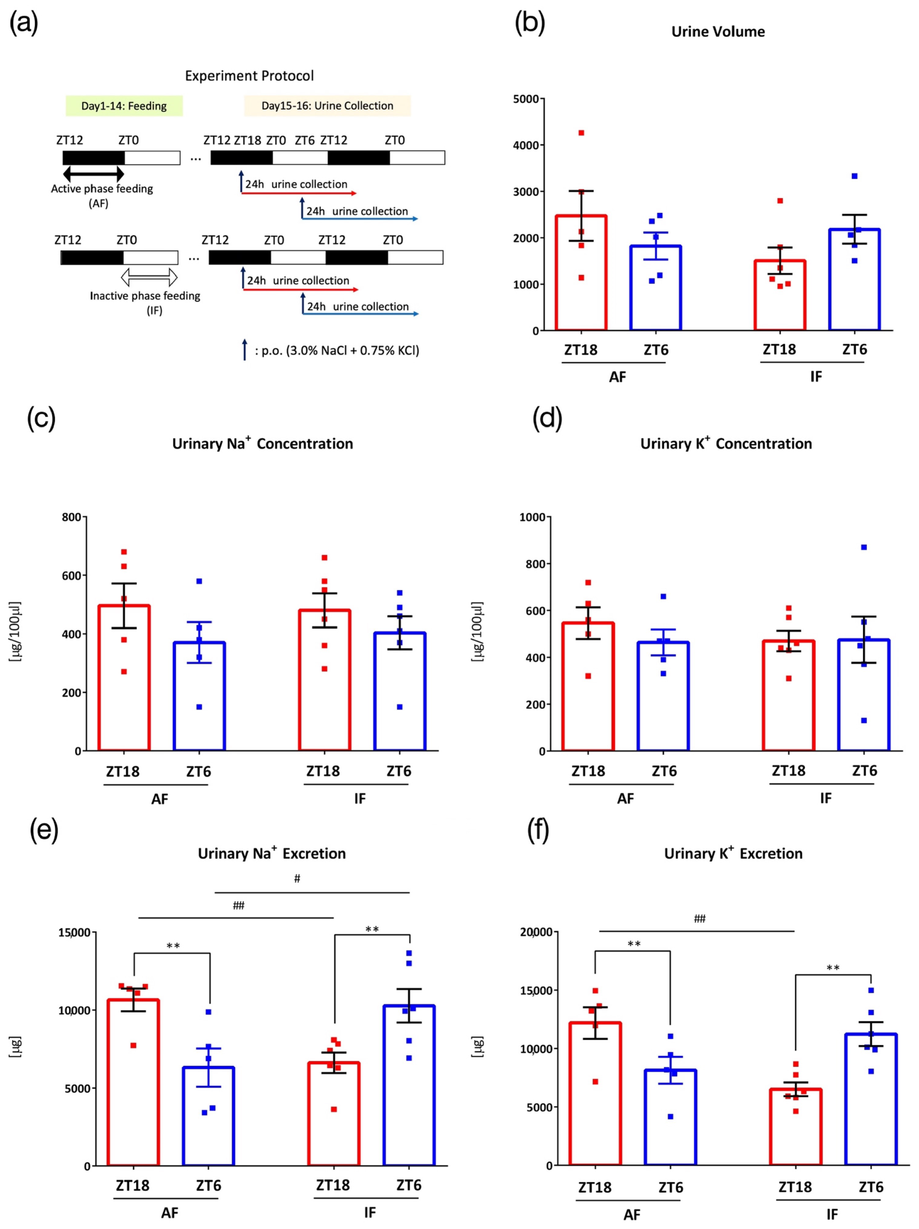 Nutrients 15 01679 g006 Nutrients 15 01679 g006