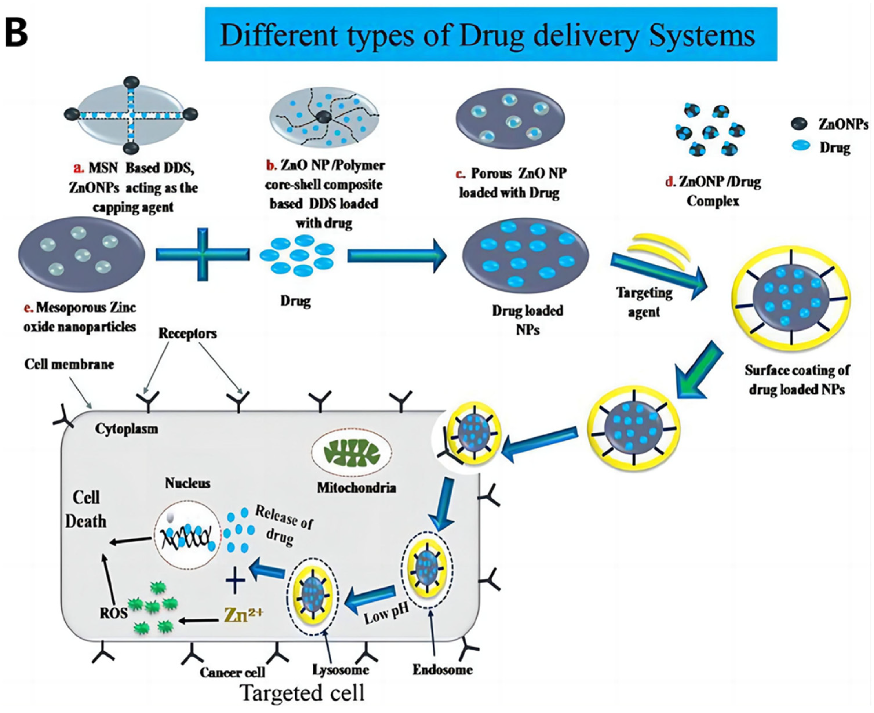 Nutrients 15 01703 g003b Nutrients 15 01703 g003b