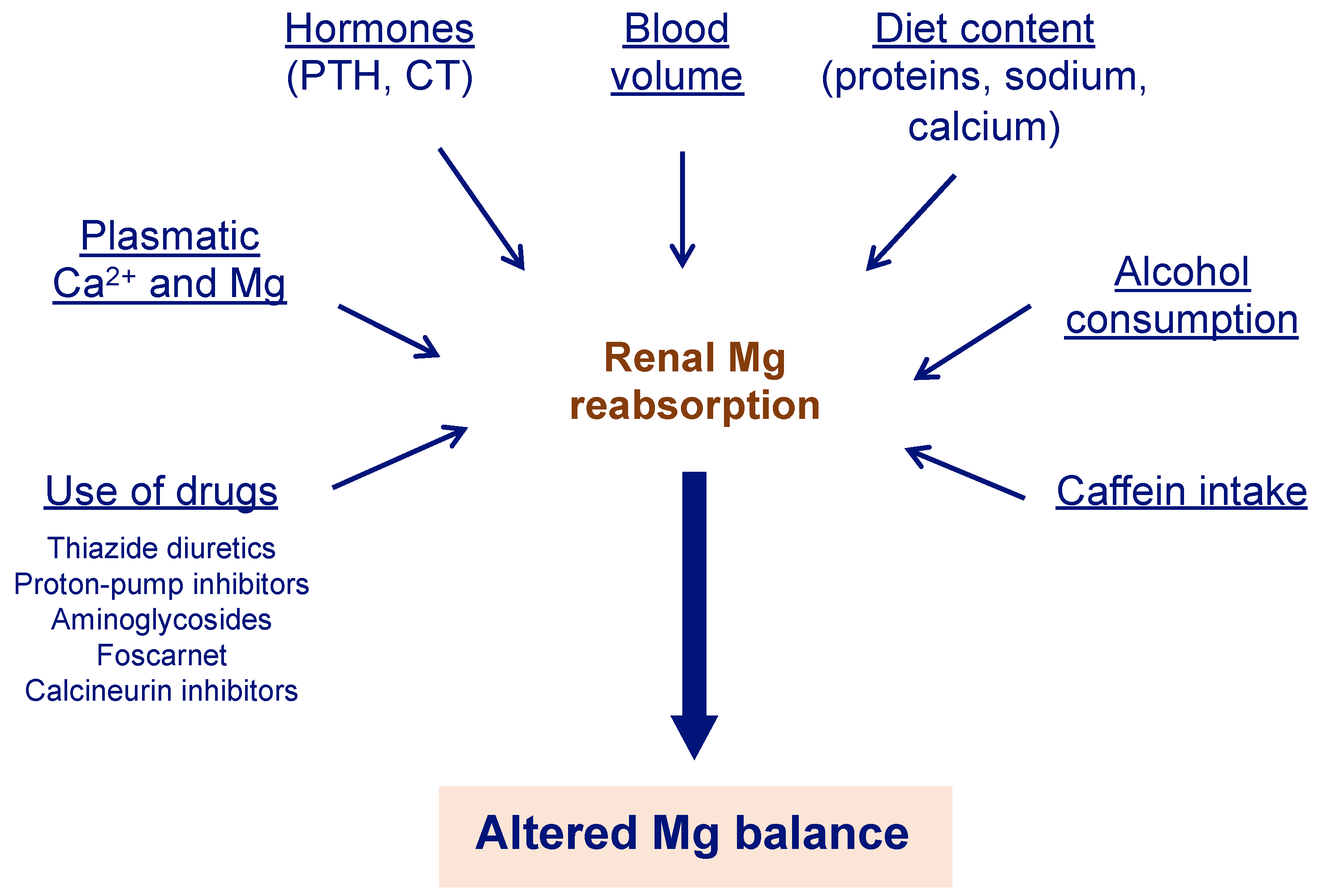 Nutrients | Free Full-Text | Magnesium In Kidney Function And Disease ...