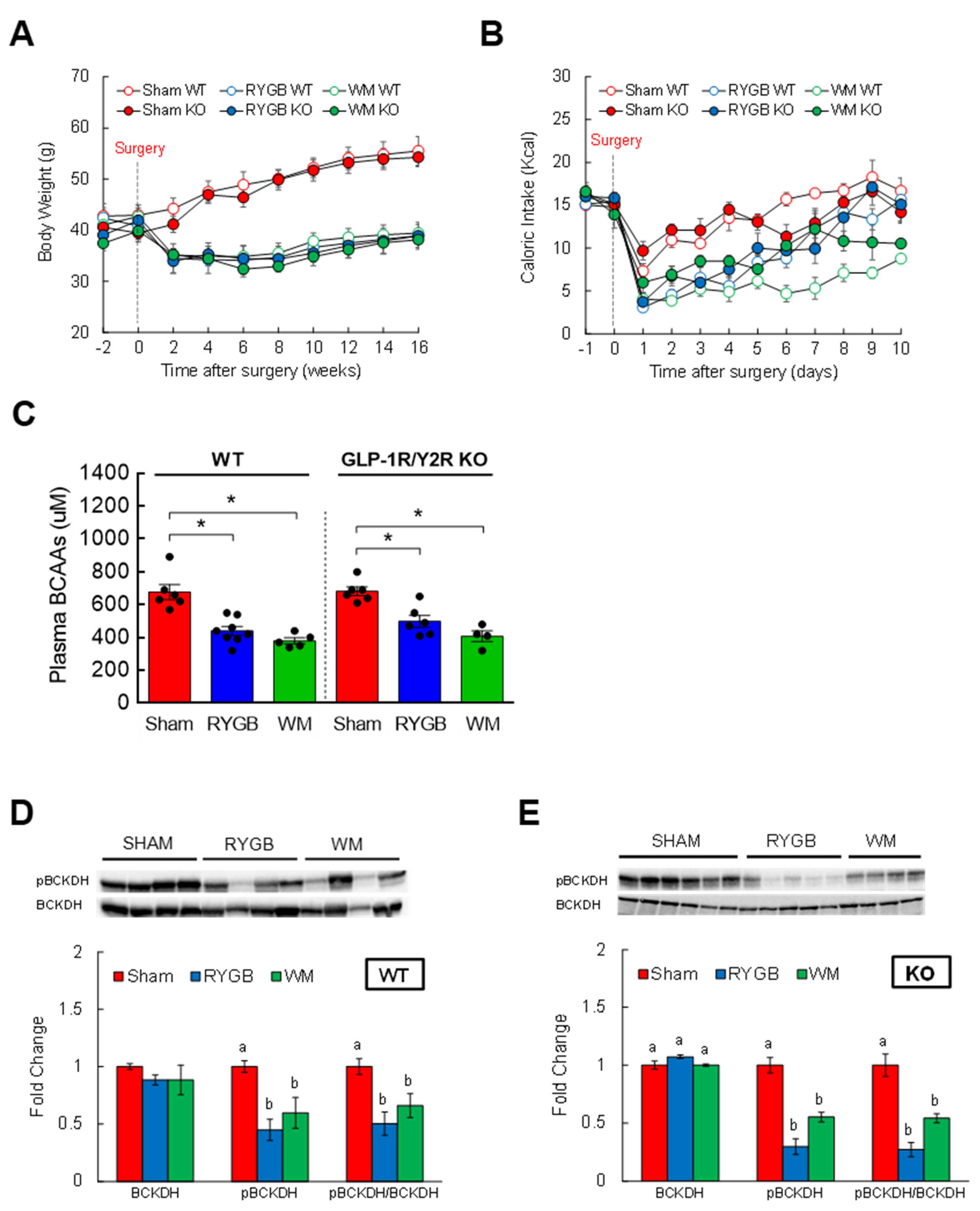 Nutrients 15 01713 g003