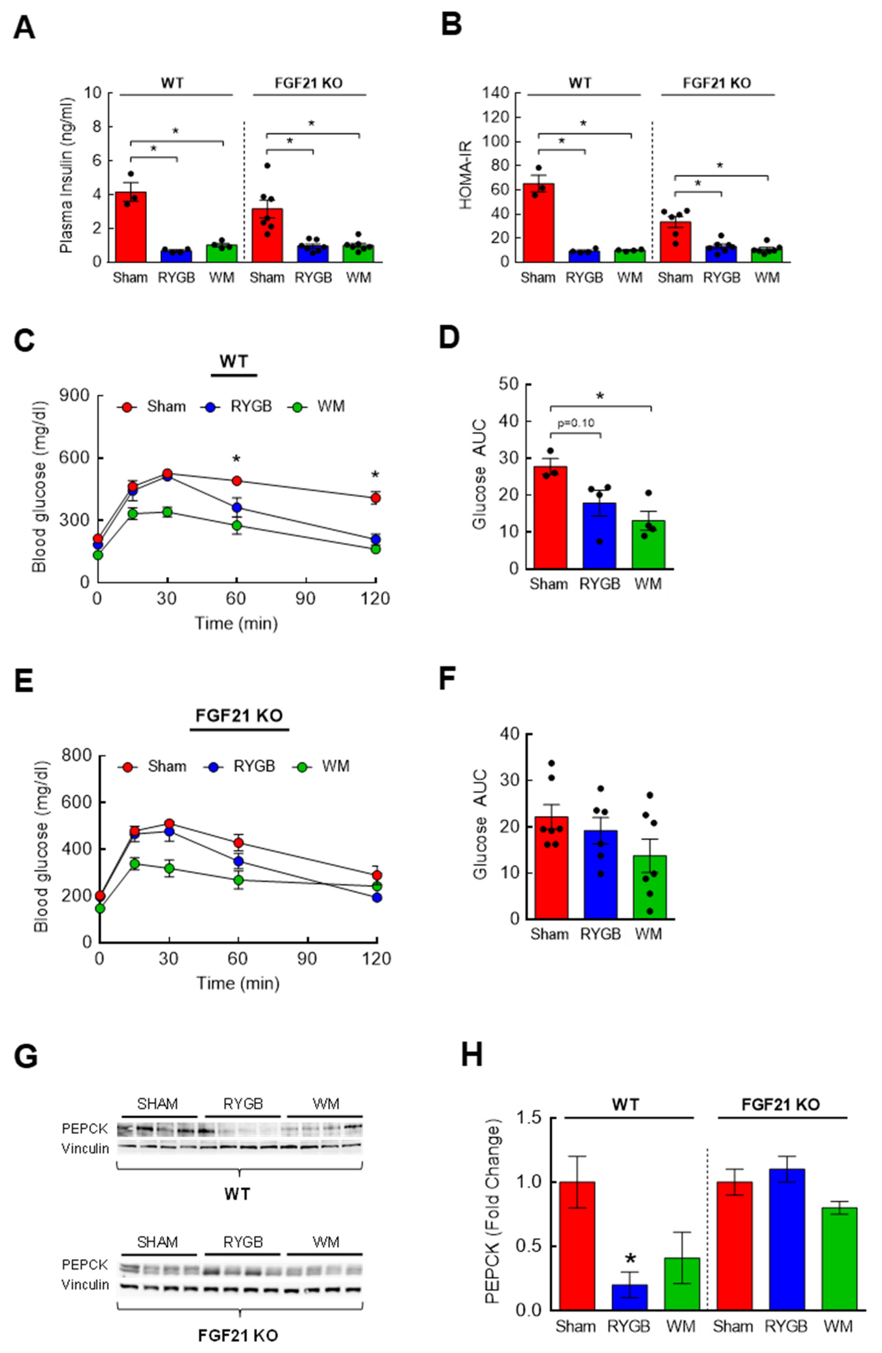 Nutrients 15 01713 g006