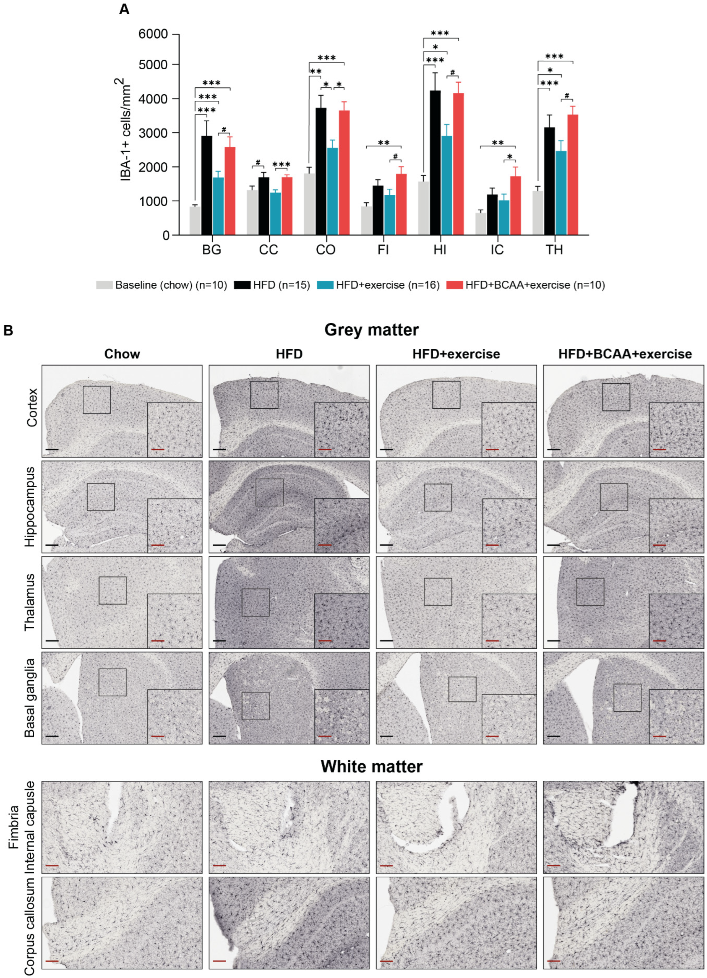 Nutrients 15 01716 g011 Nutrients 15 01716 g011