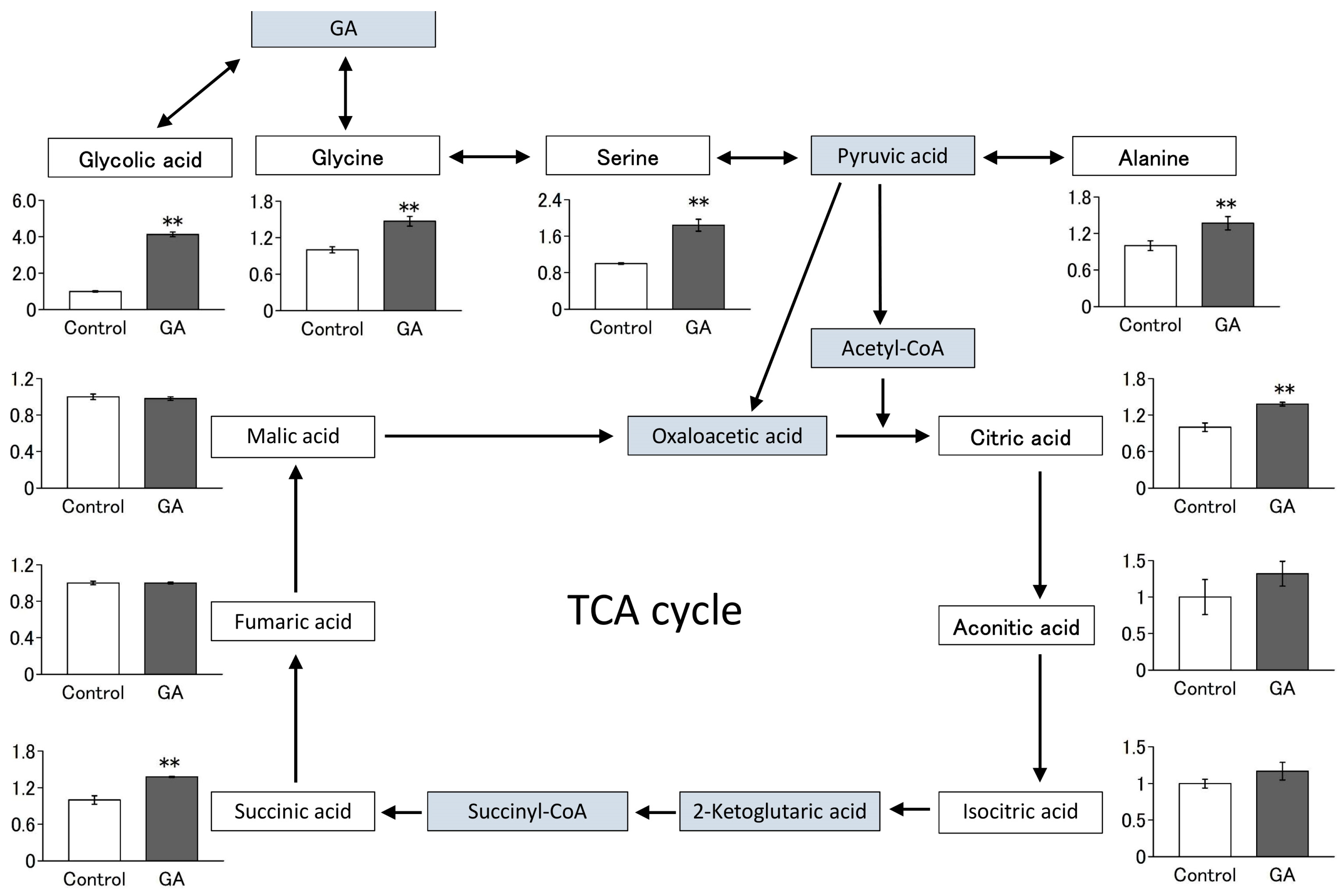 Nutrients 15 01763 g004 Nutrients 15 01763 g004