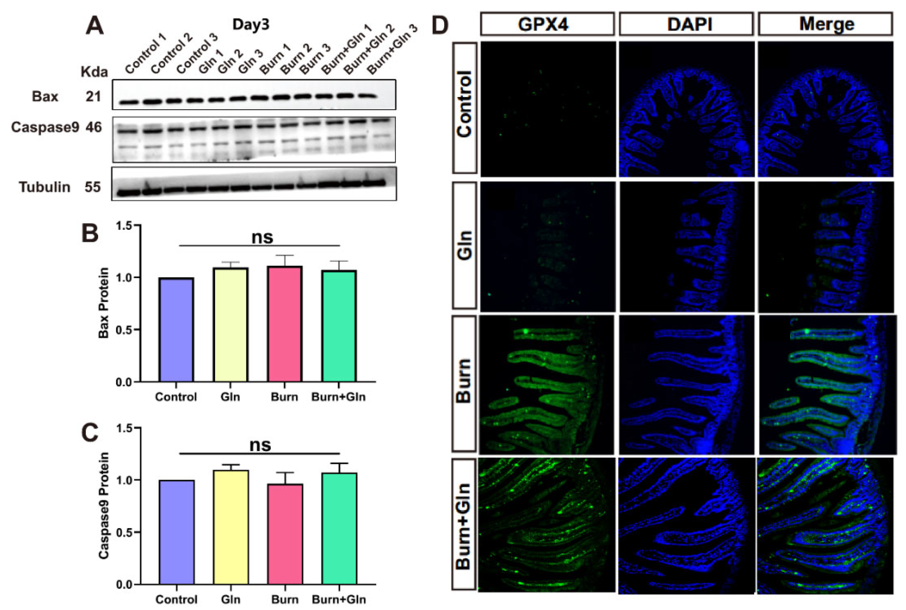 Nutrients 15 01766 g003 Nutrients 15 01766 g003