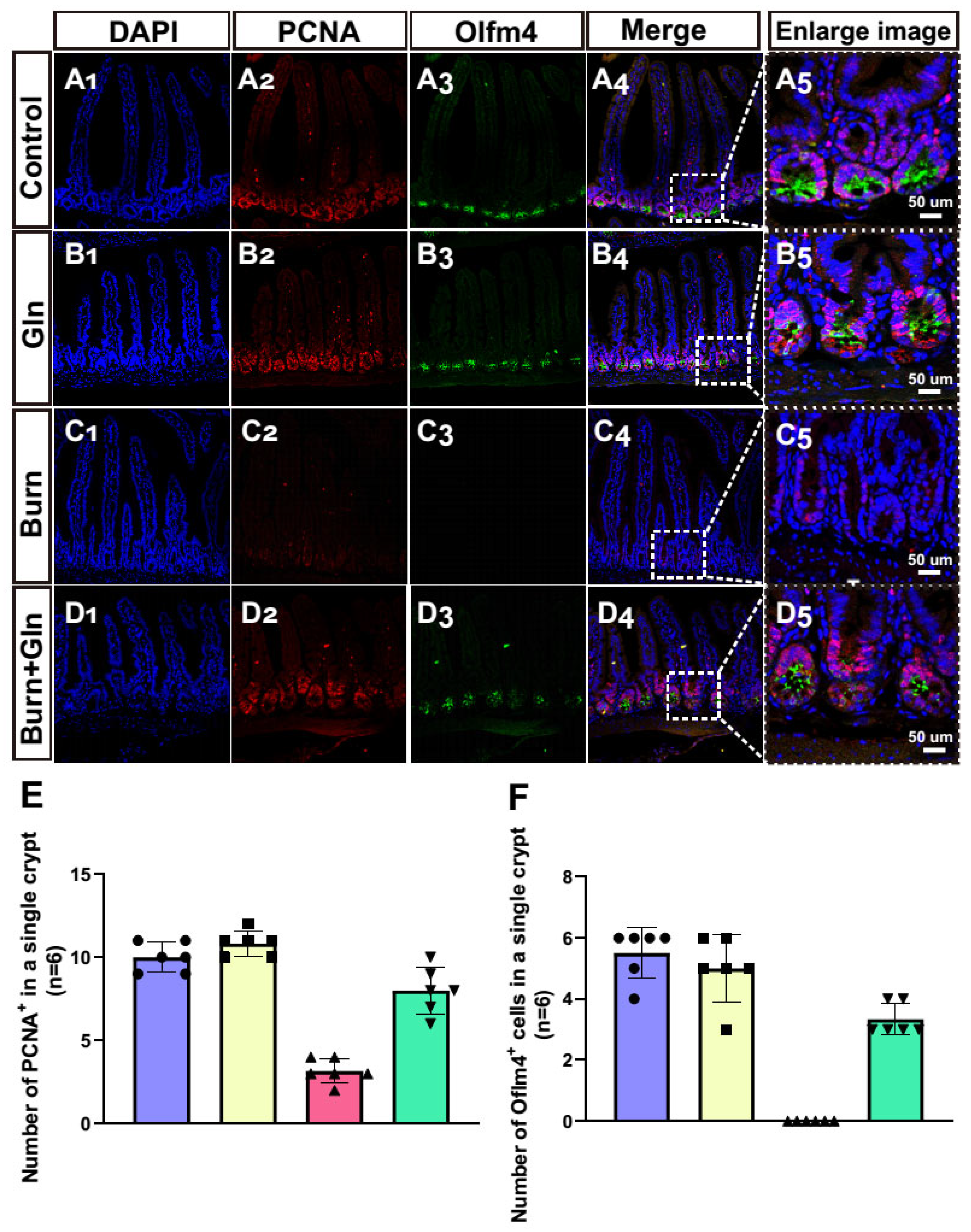 Nutrients 15 01766 g004 Nutrients 15 01766 g004