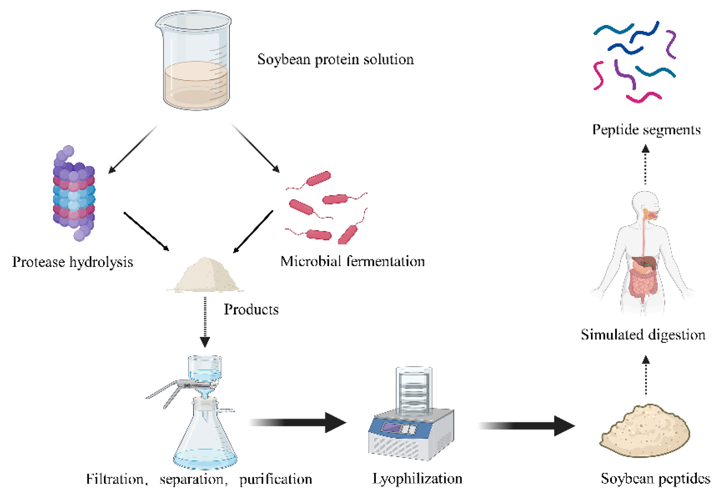 Nutrients 15 01811 g003 Nutrients 15 01811 g003