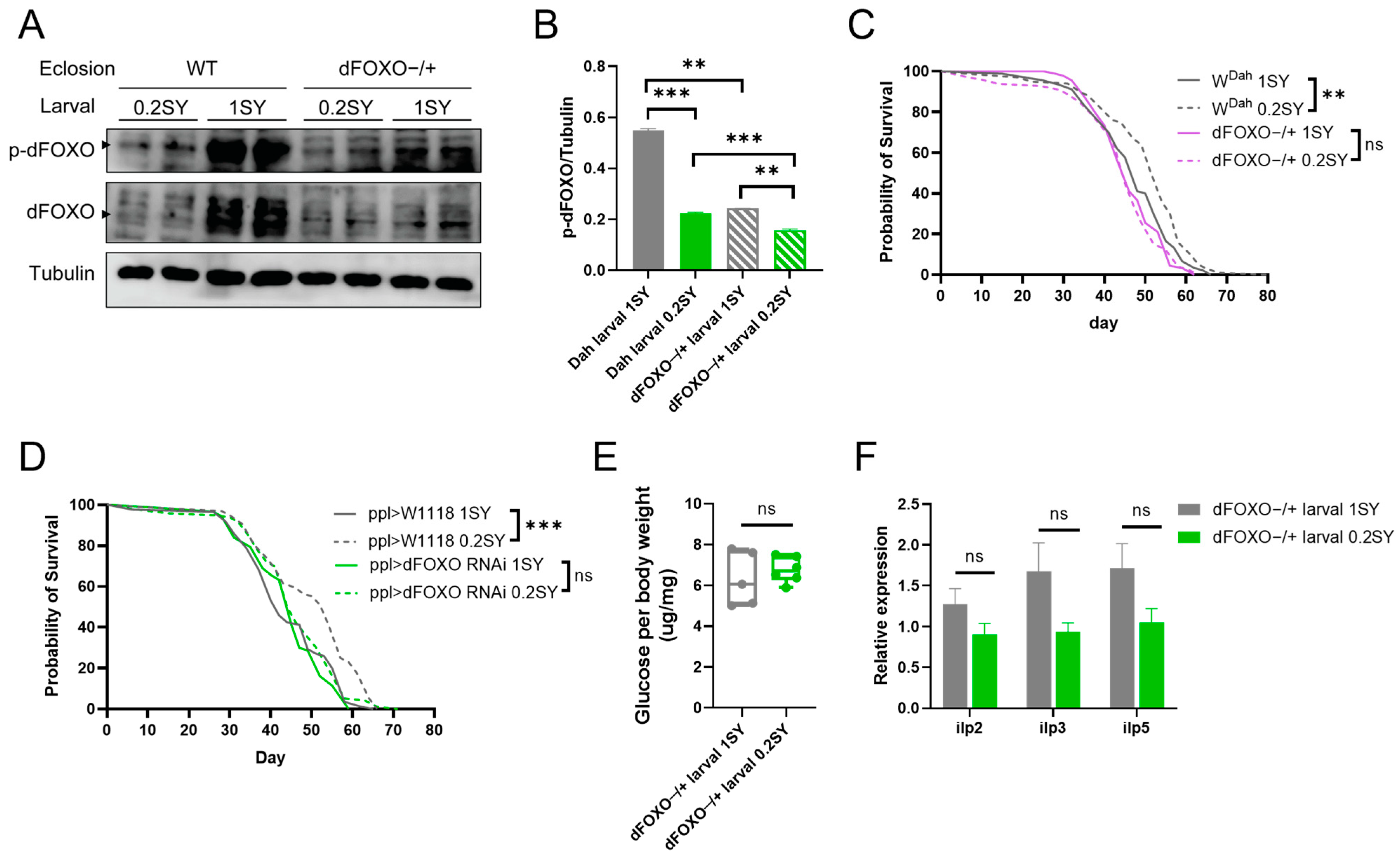 Nutrients 15 01840 g006 Nutrients 15 01840 g006