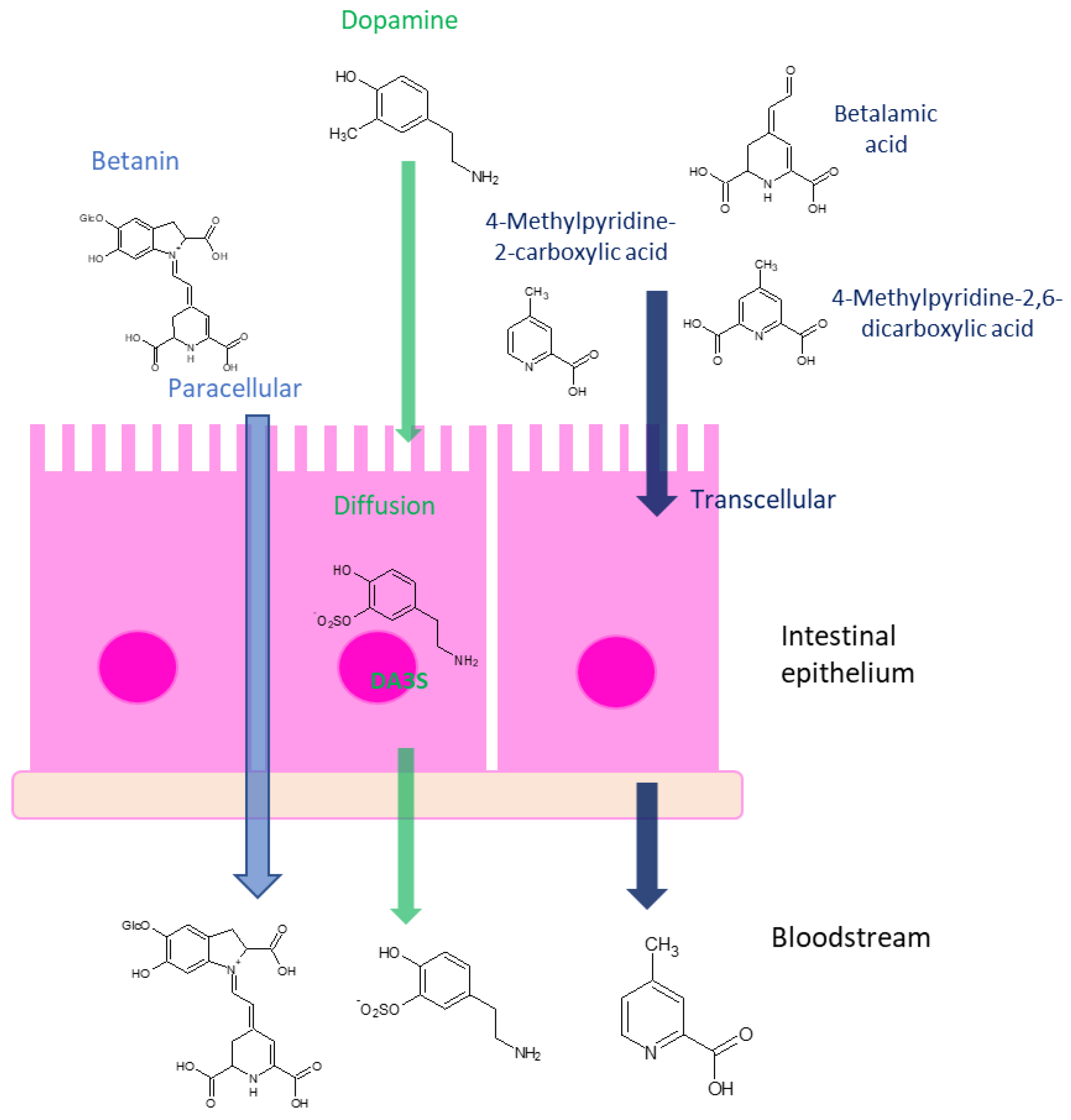 Nutrients 15 02026 g011