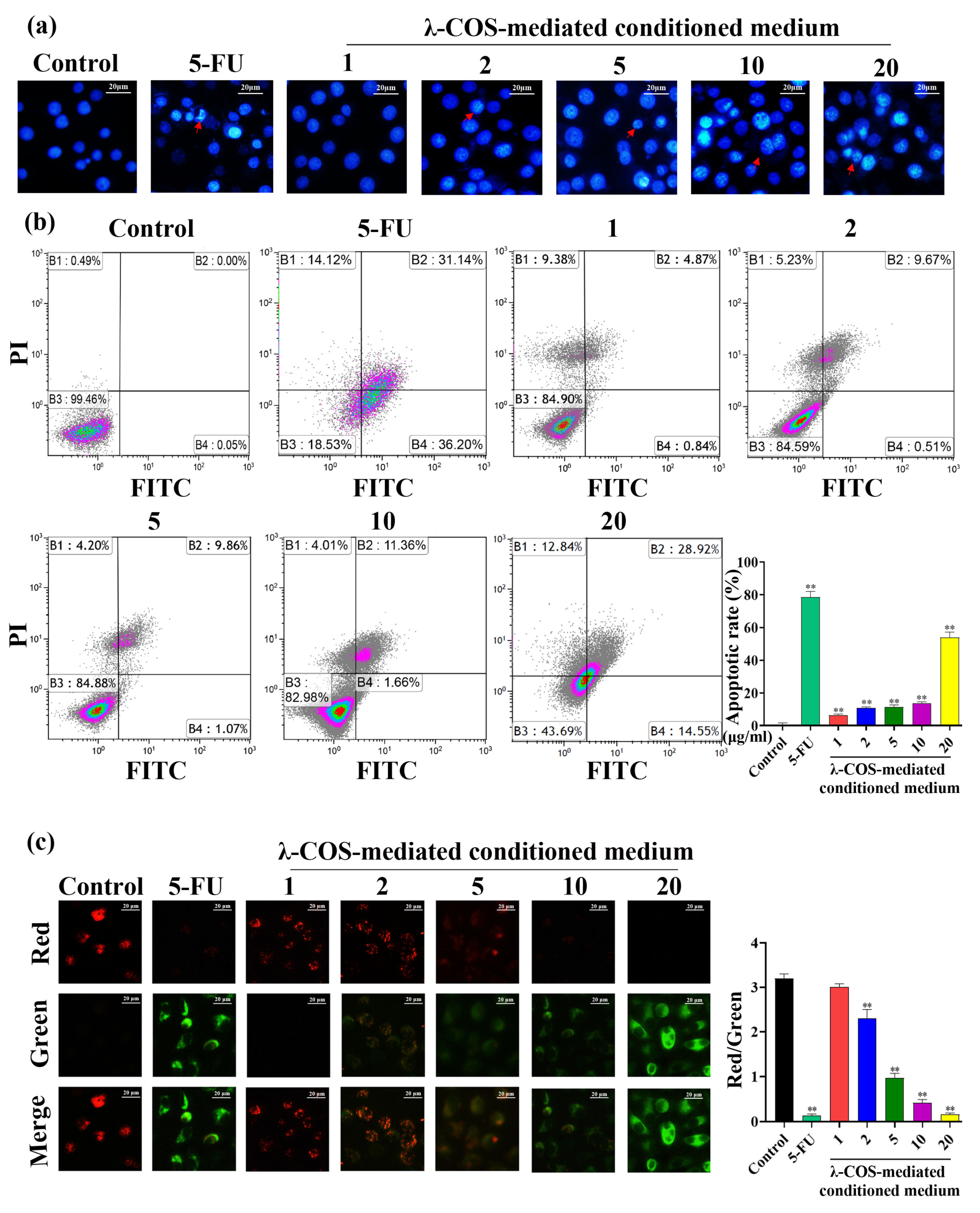 Nutrients 15 02044 g003 Nutrients 15 02044 g003