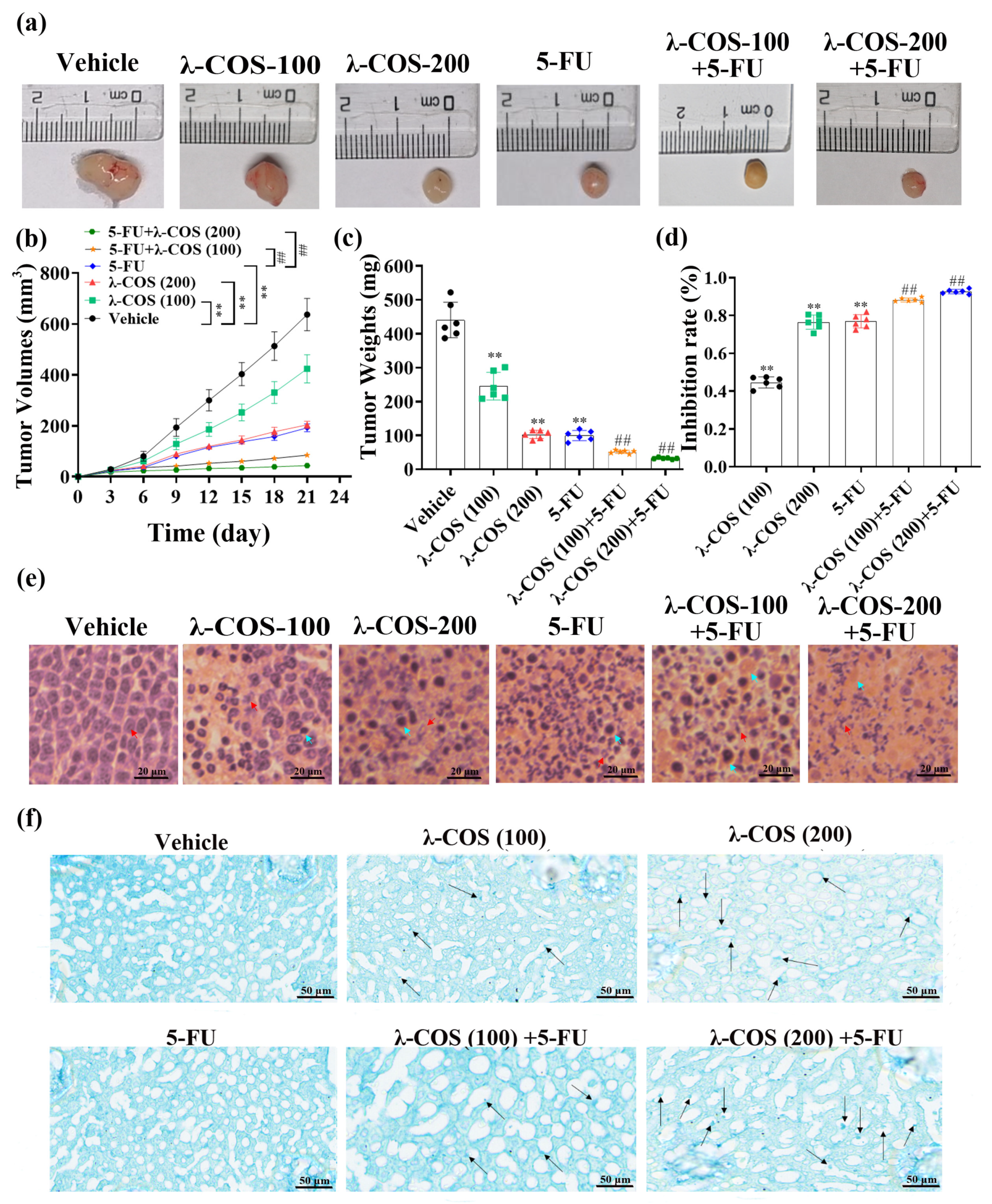 Nutrients 15 02044 g005 Nutrients 15 02044 g005
