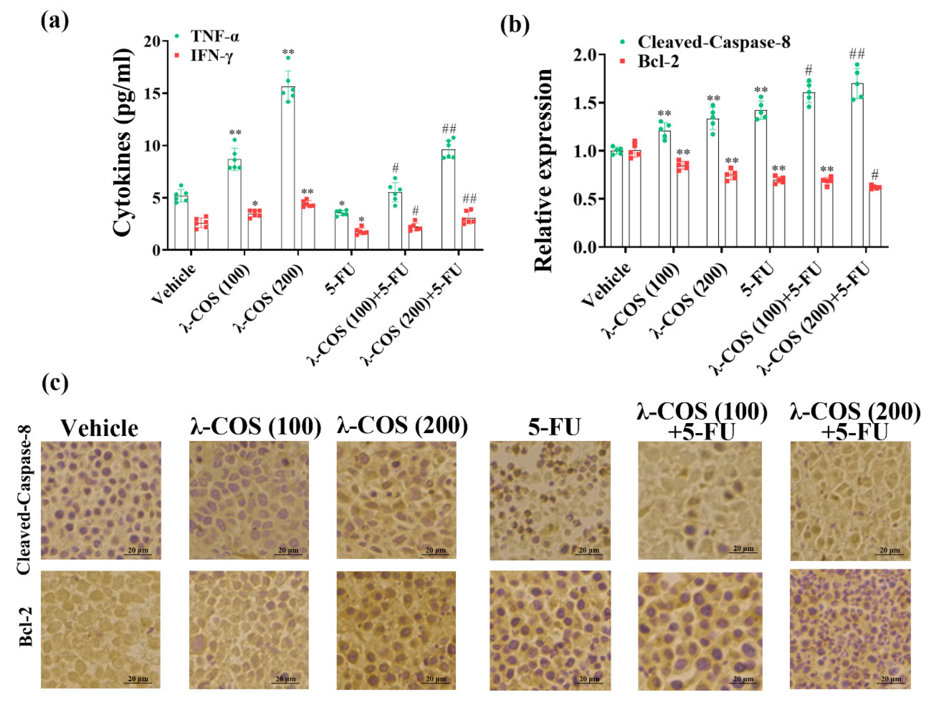 Nutrients 15 02044 g007 Nutrients 15 02044 g007